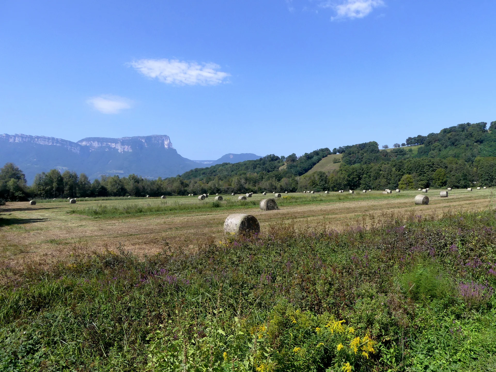 Lac de Saint Helene à Sainte-Hélène-du-Lac — À 456 m du lac