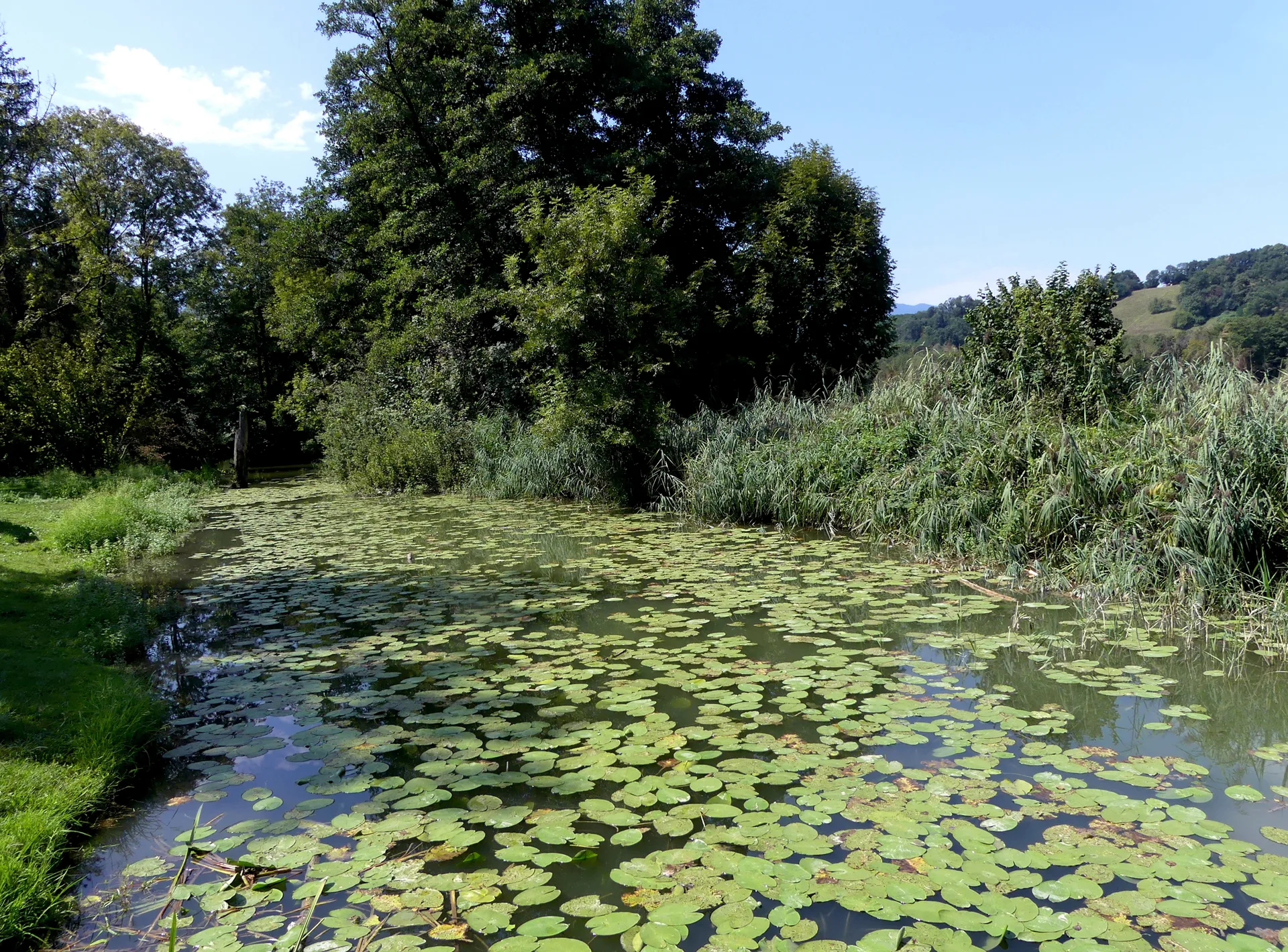 Lac de Saint Helene à Sainte-Hélène-du-Lac — À 467 m du lac