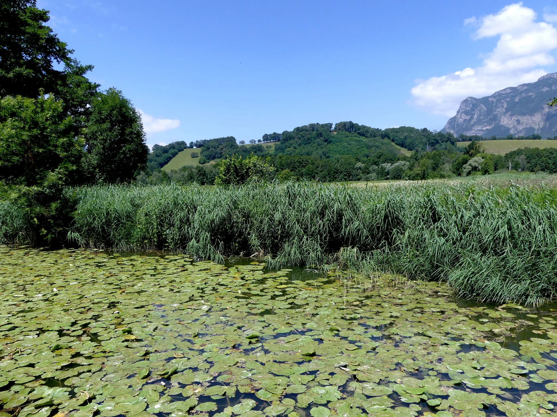 Lac de Saint Helene à Sainte-Hélène-du-Lac — À 470 m du lac