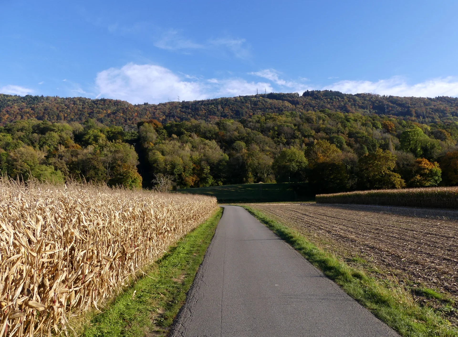 Lac de Saint Helene à Sainte-Hélène-du-Lac — À 1,0 km du lac