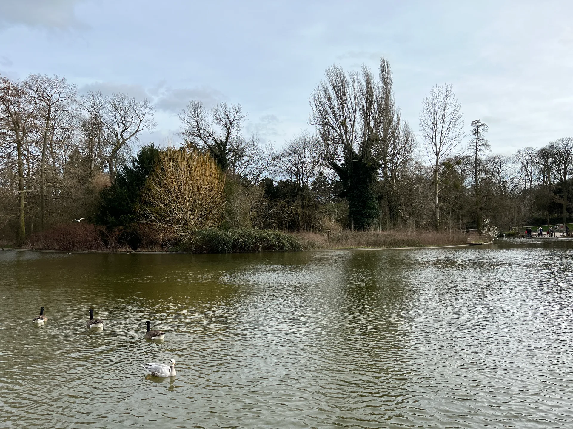 Lac de Saint-Mande à Paris — Sur le lac
