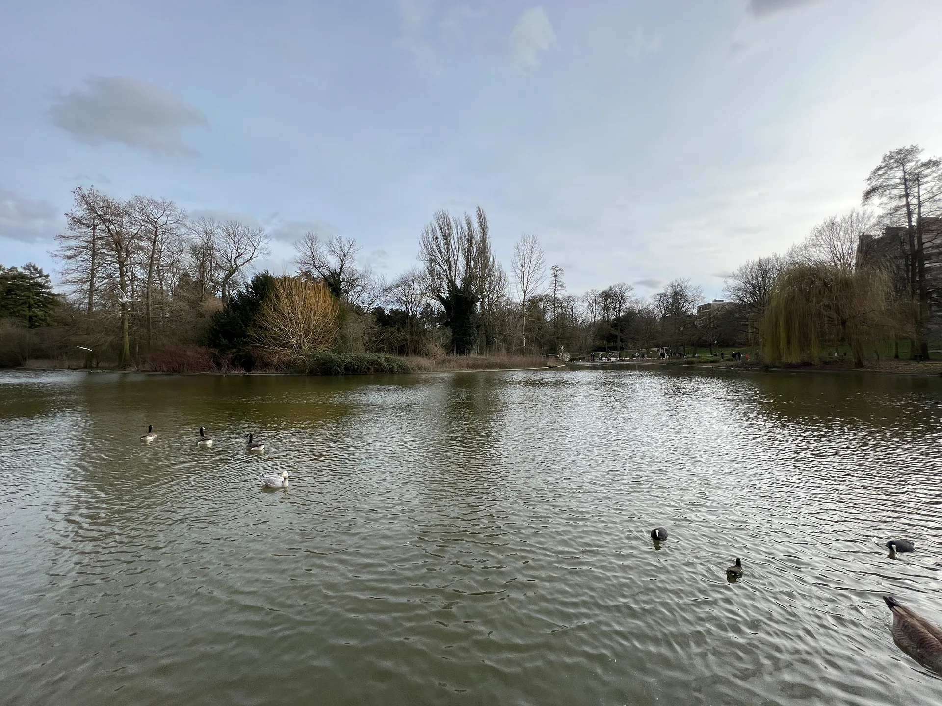 Lac de Saint-Mande à Paris — Sur le lac