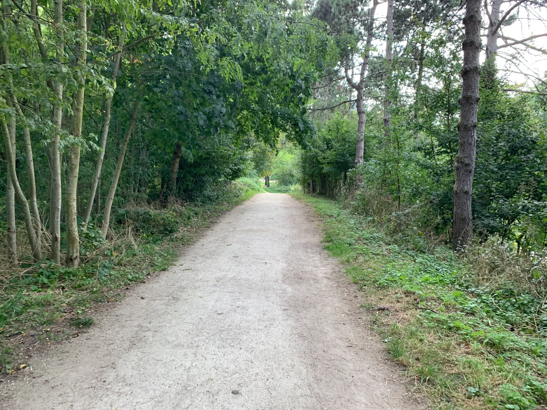 Lac de Saint-Mande à Paris — Sur le lac