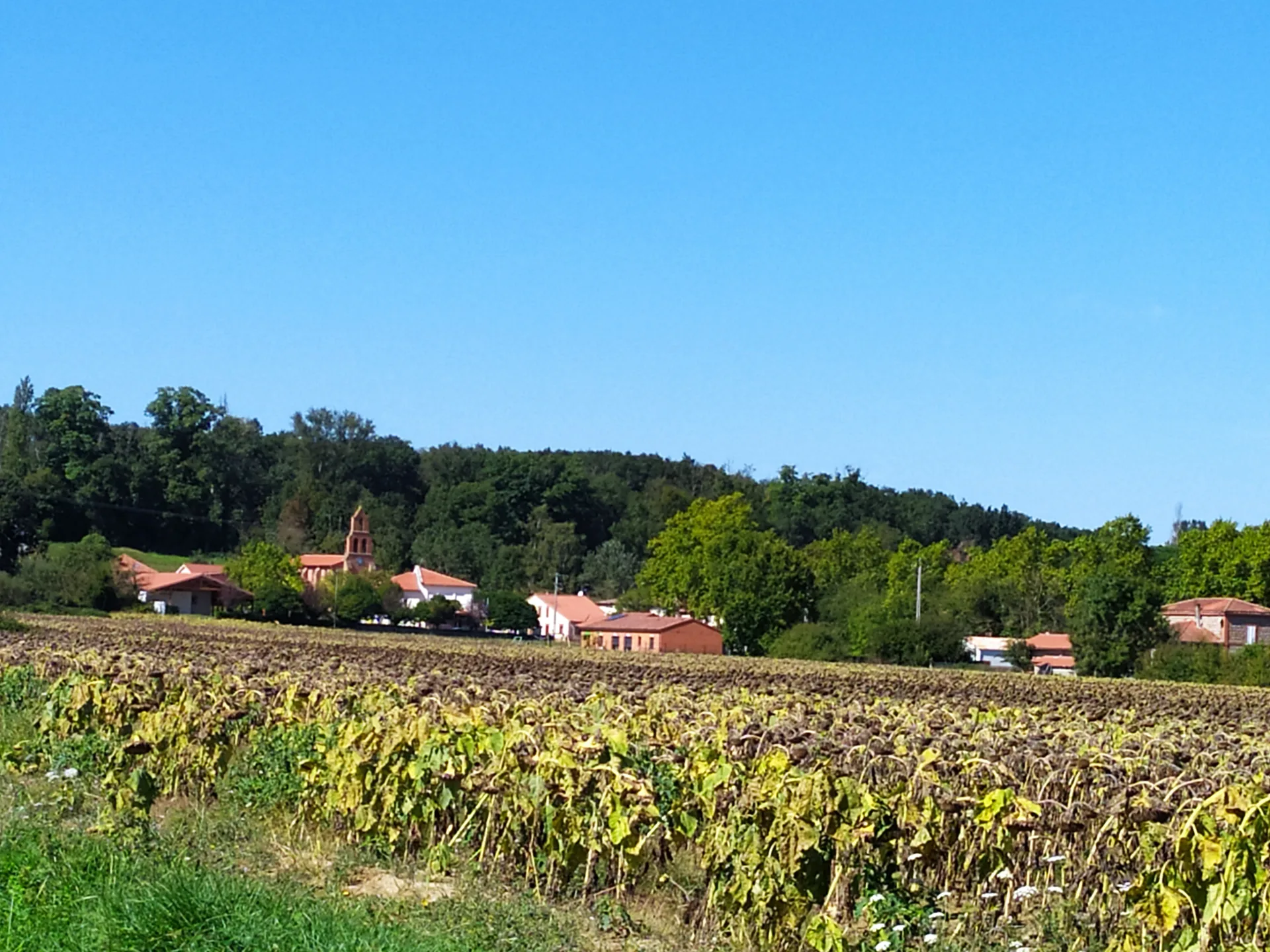 Lac de saint Michel à Carbonne — À 4,7 km du lac