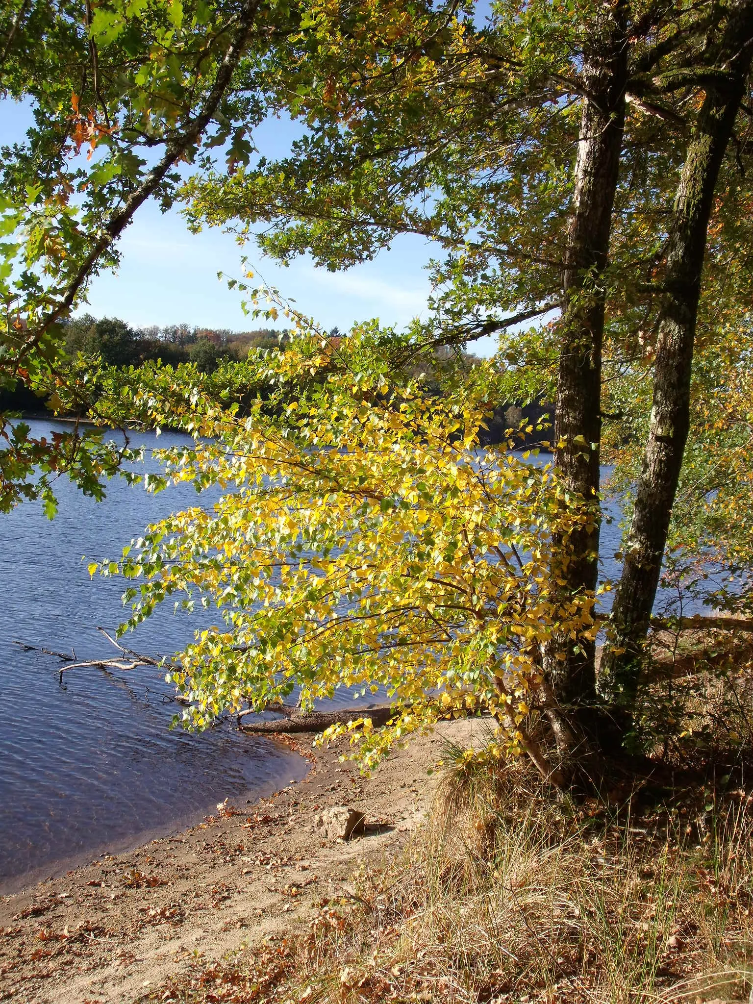 Lac de Saint Pardoux 01 à Saint-Pardoux-le-Lac — À 1,9 km du lac