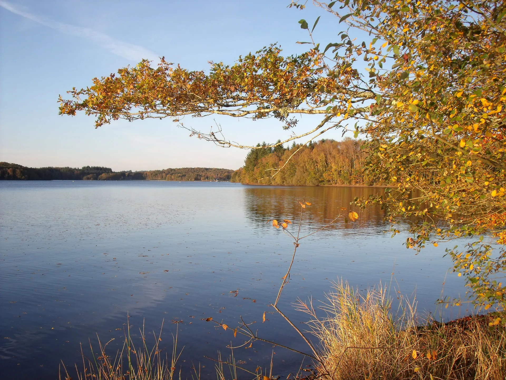 Lac de Saint Pardoux 02 à Razès — À 1,5 km du lac