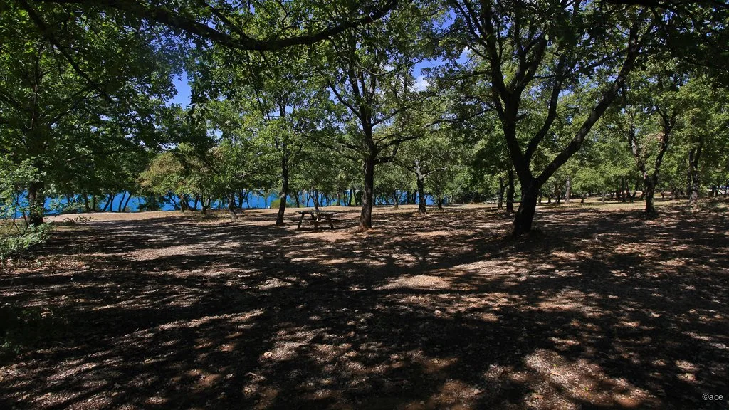 Lac de Sainte-Croix à Bauduen — À 2,2 km du lac