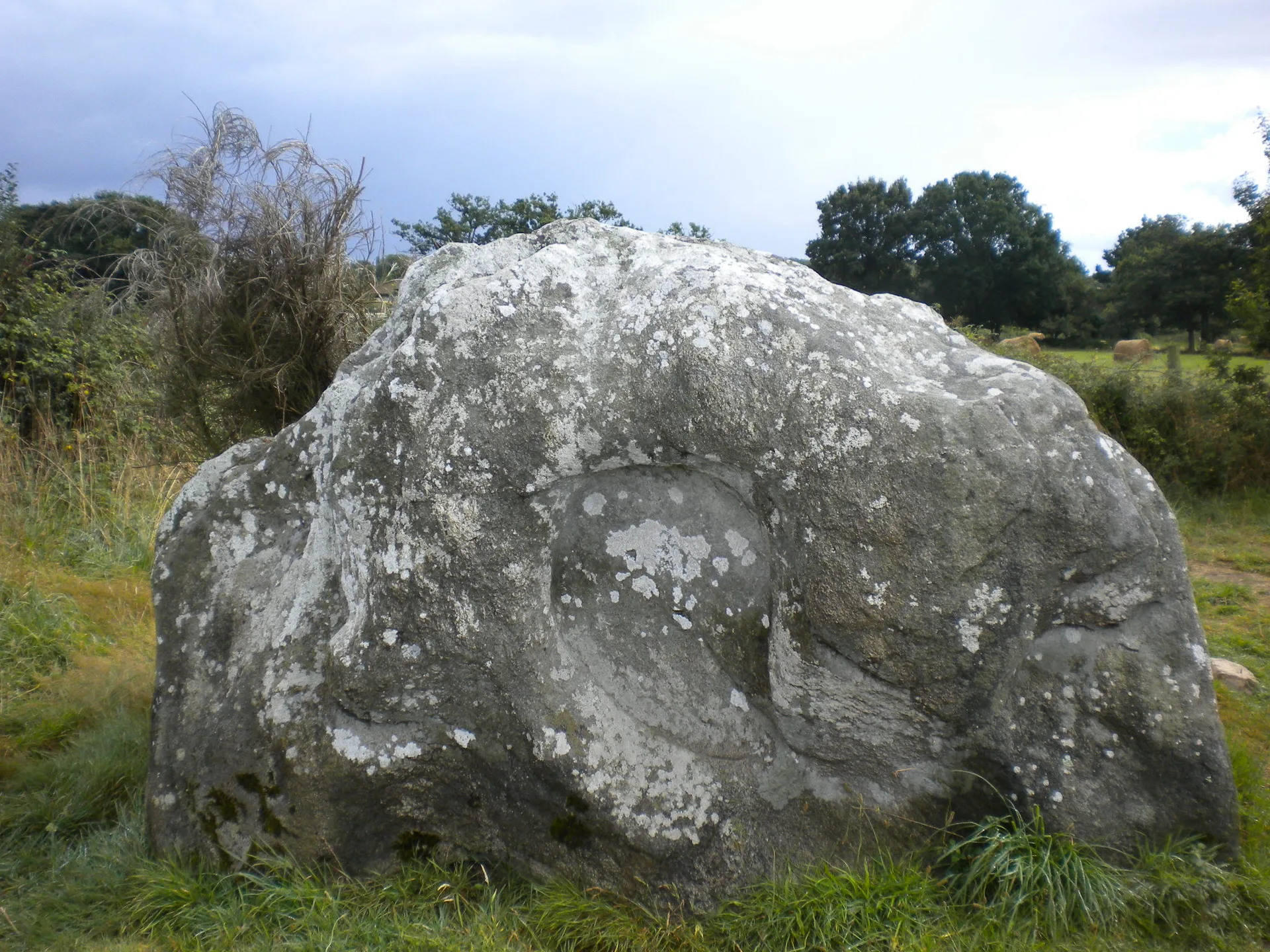 Lac de Sandun Guerande à Guérande — À 2,0 km du lac