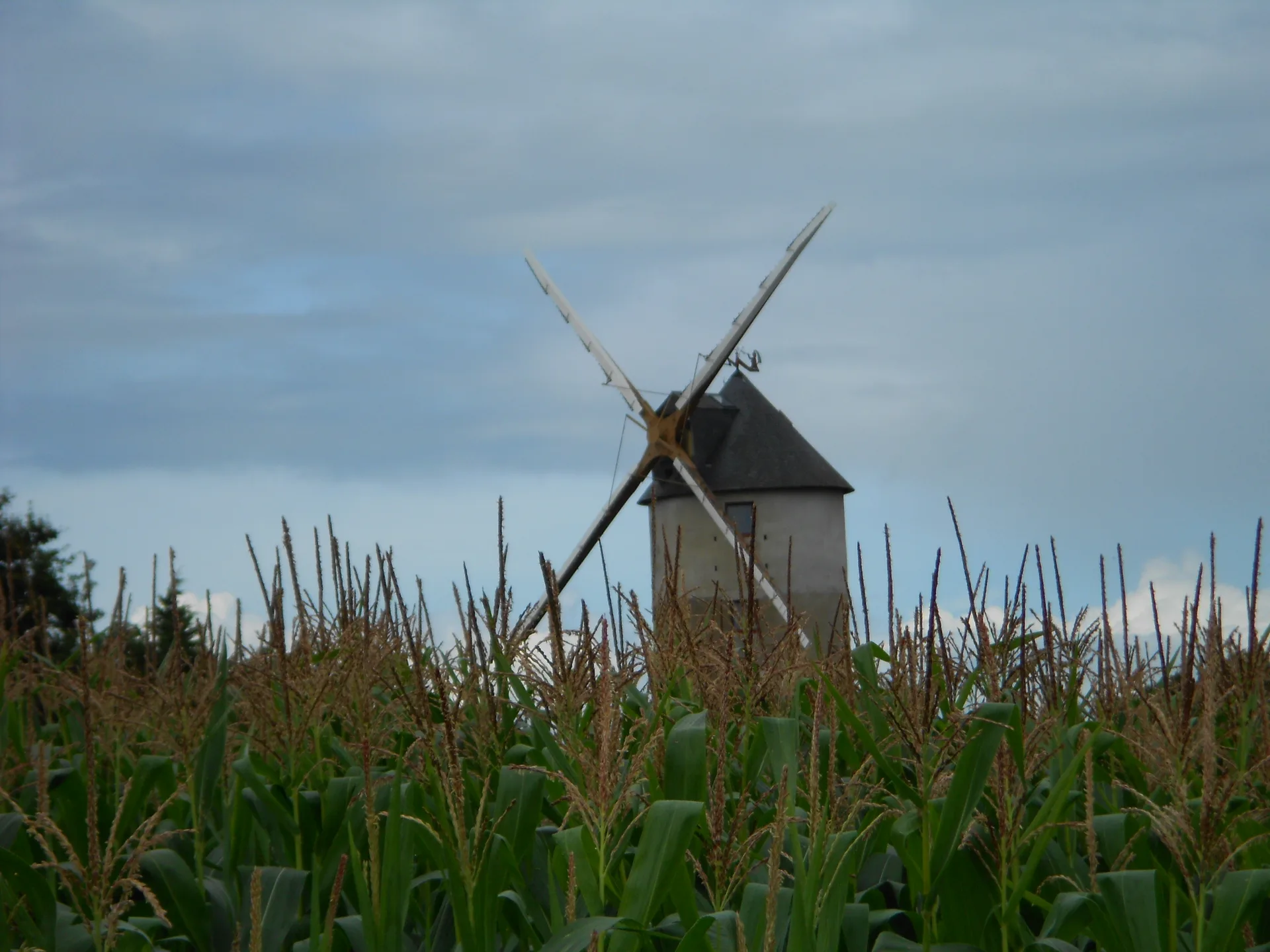 Lac de Sandun Guerande à Guérande — À 2,0 km du lac