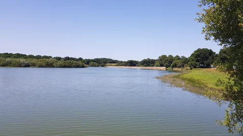 Lac de Sandun Guerande