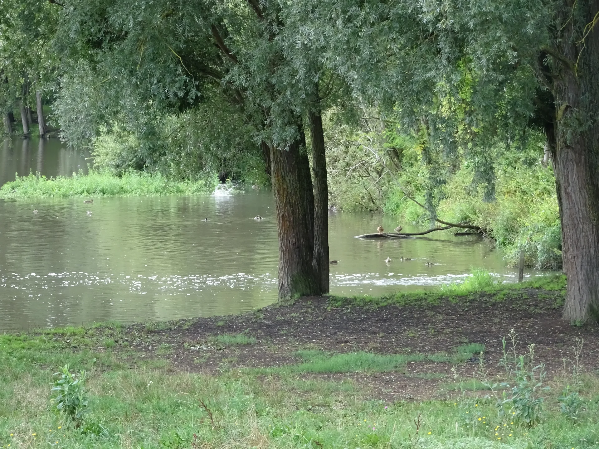 Lac de Saulx les Chartreux à Saulx-les-Chartreux — Sur le lac
