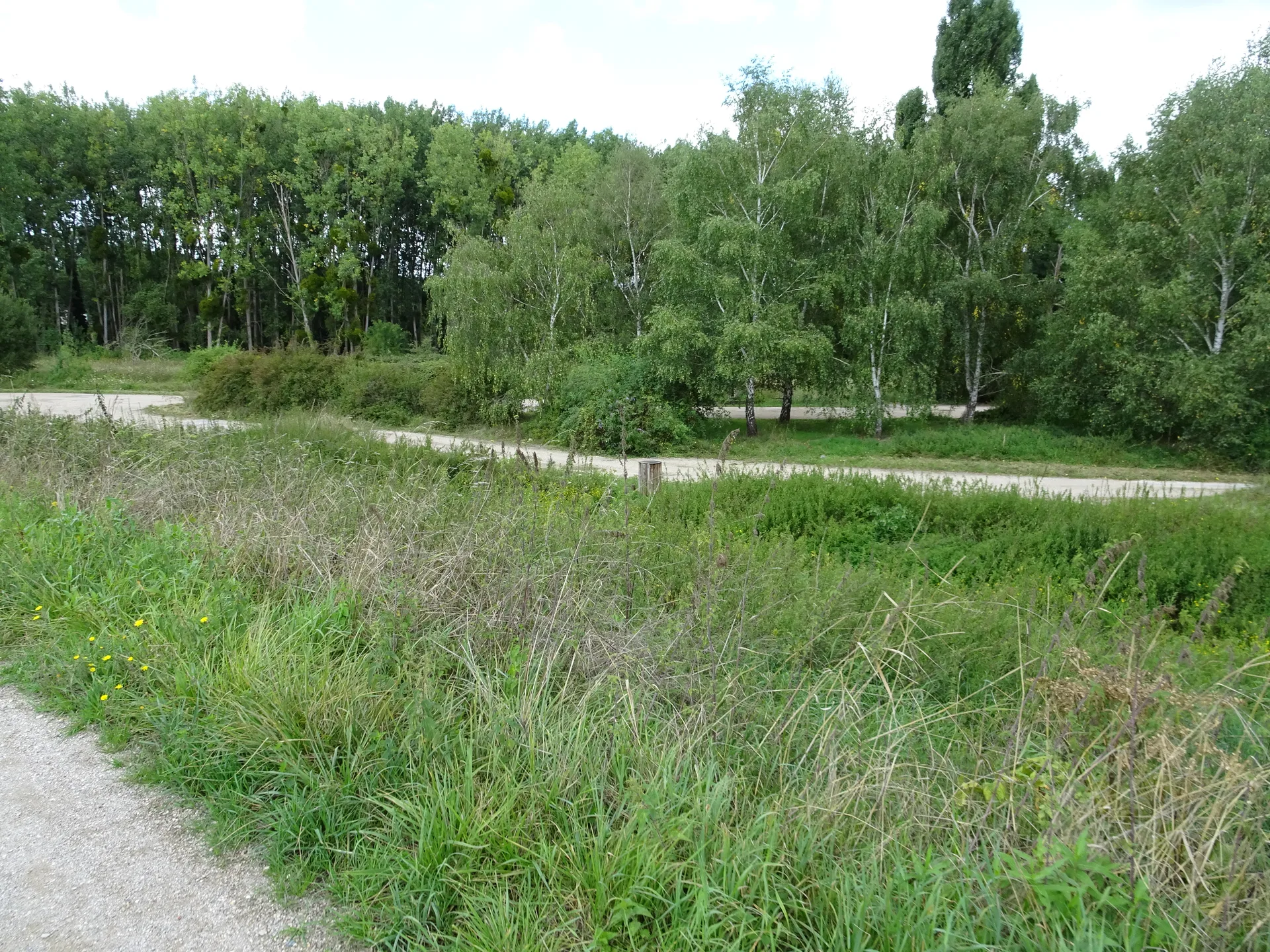 Lac de Saulx les Chartreux à Saulx-les-Chartreux — Sur le lac