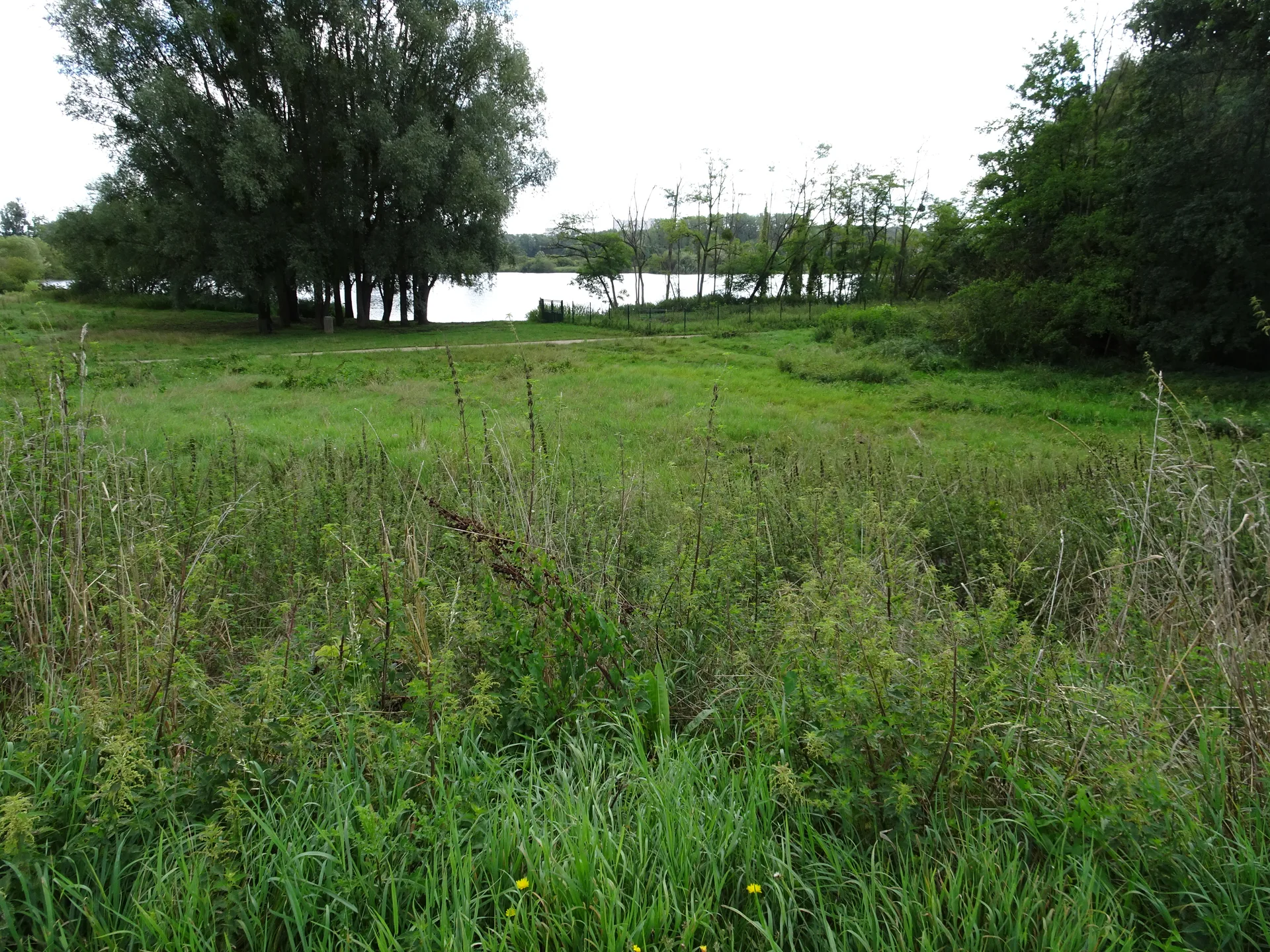 Lac de Saulx les Chartreux à Saulx-les-Chartreux — Sur le lac