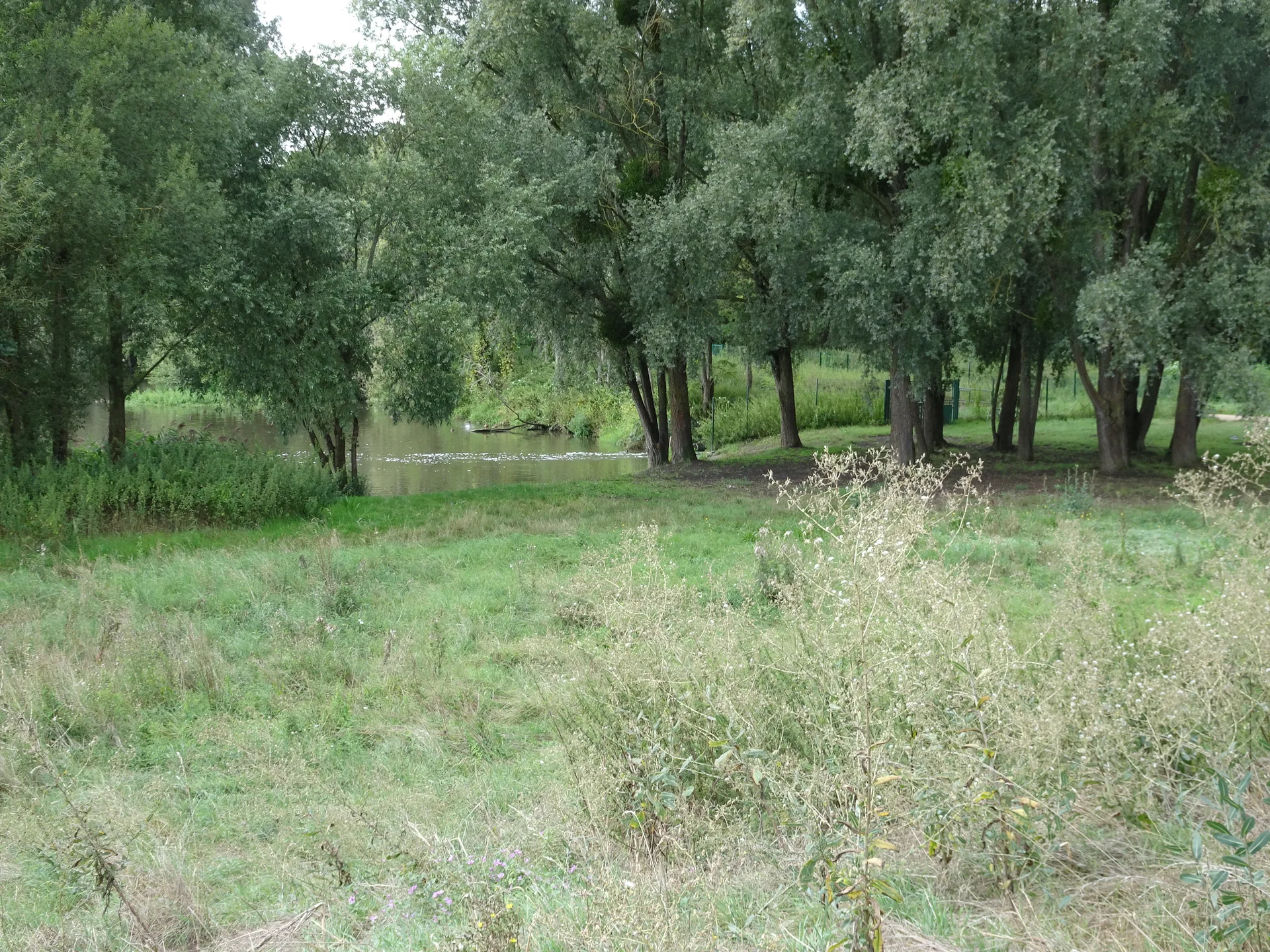Lac de Saulx les Chartreux à Saulx-les-Chartreux — Sur le lac