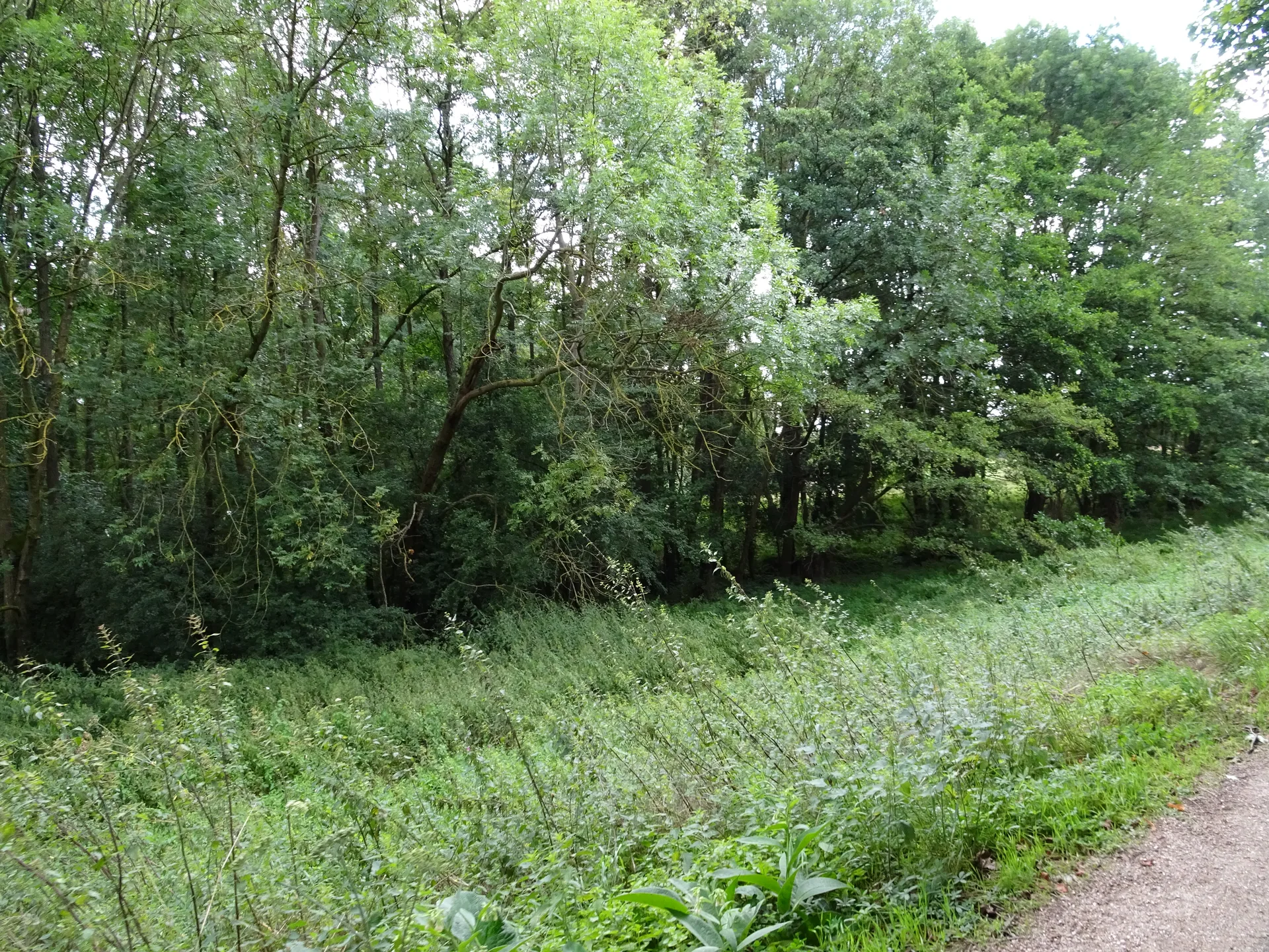 Lac de Saulx les Chartreux à Saulx-les-Chartreux — Sur le lac