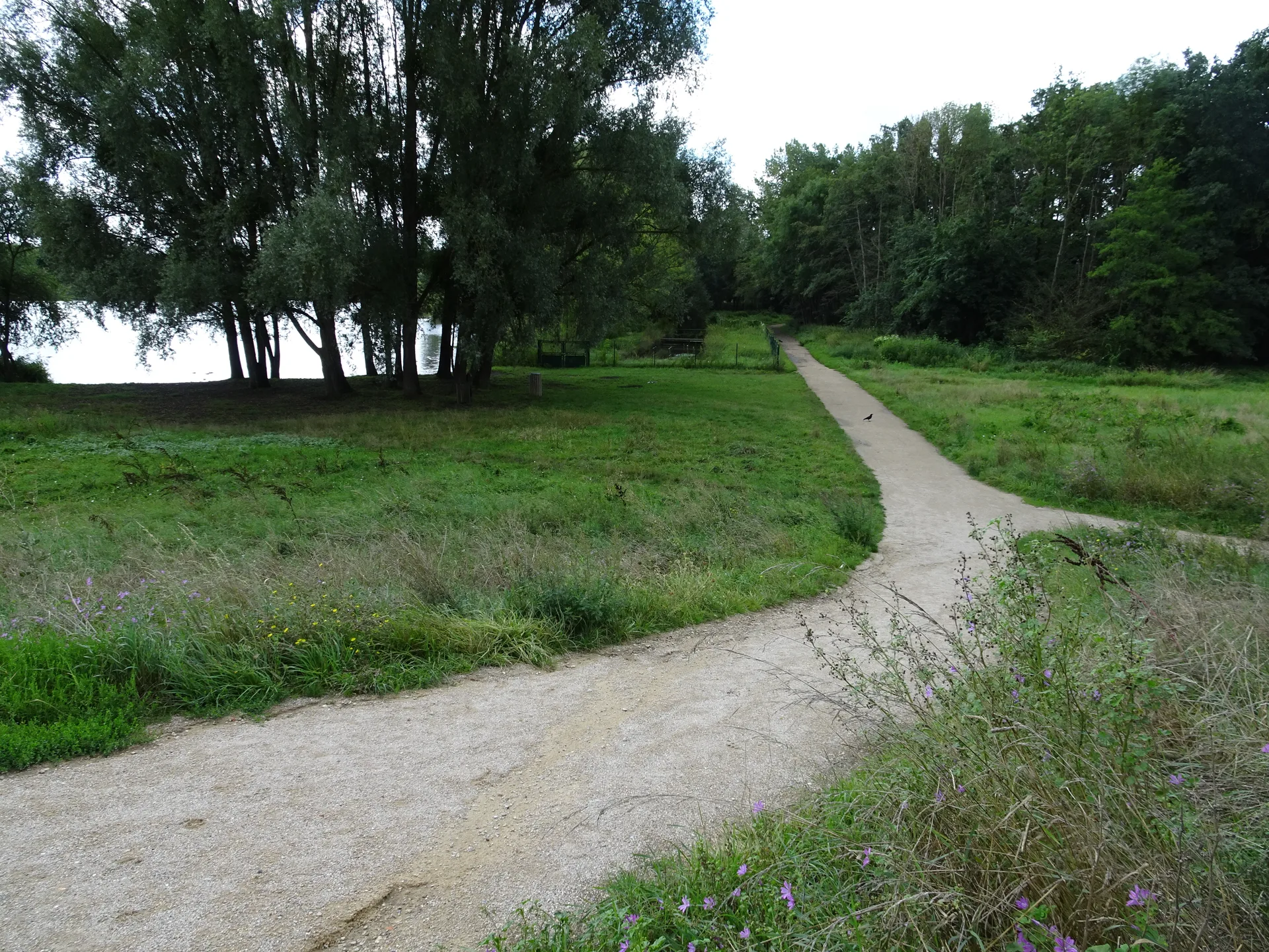 Lac de Saulx les Chartreux à Saulx-les-Chartreux — Sur le lac