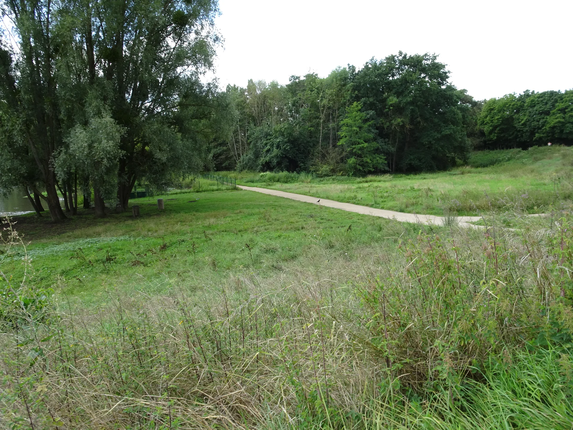 Lac de Saulx les Chartreux à Saulx-les-Chartreux — Sur le lac