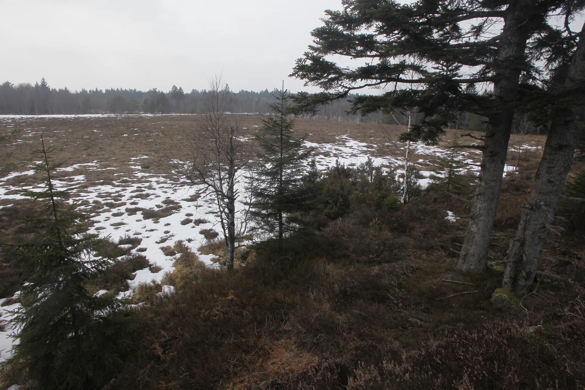 Lac de Saulxures sur-Moselotte à Saulxures-sur-Moselotte — À 3,2 km du lac