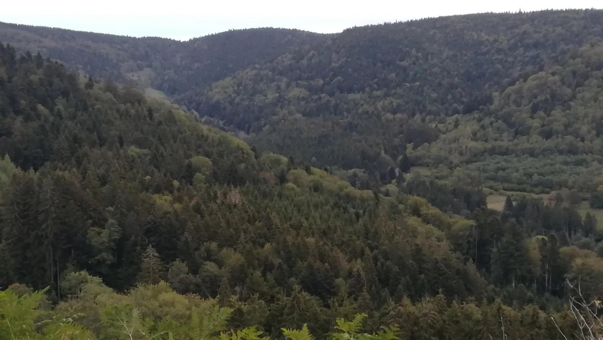 Lac de Saulxures sur-Moselotte à Saulxures-sur-Moselotte — À 4,9 km du lac