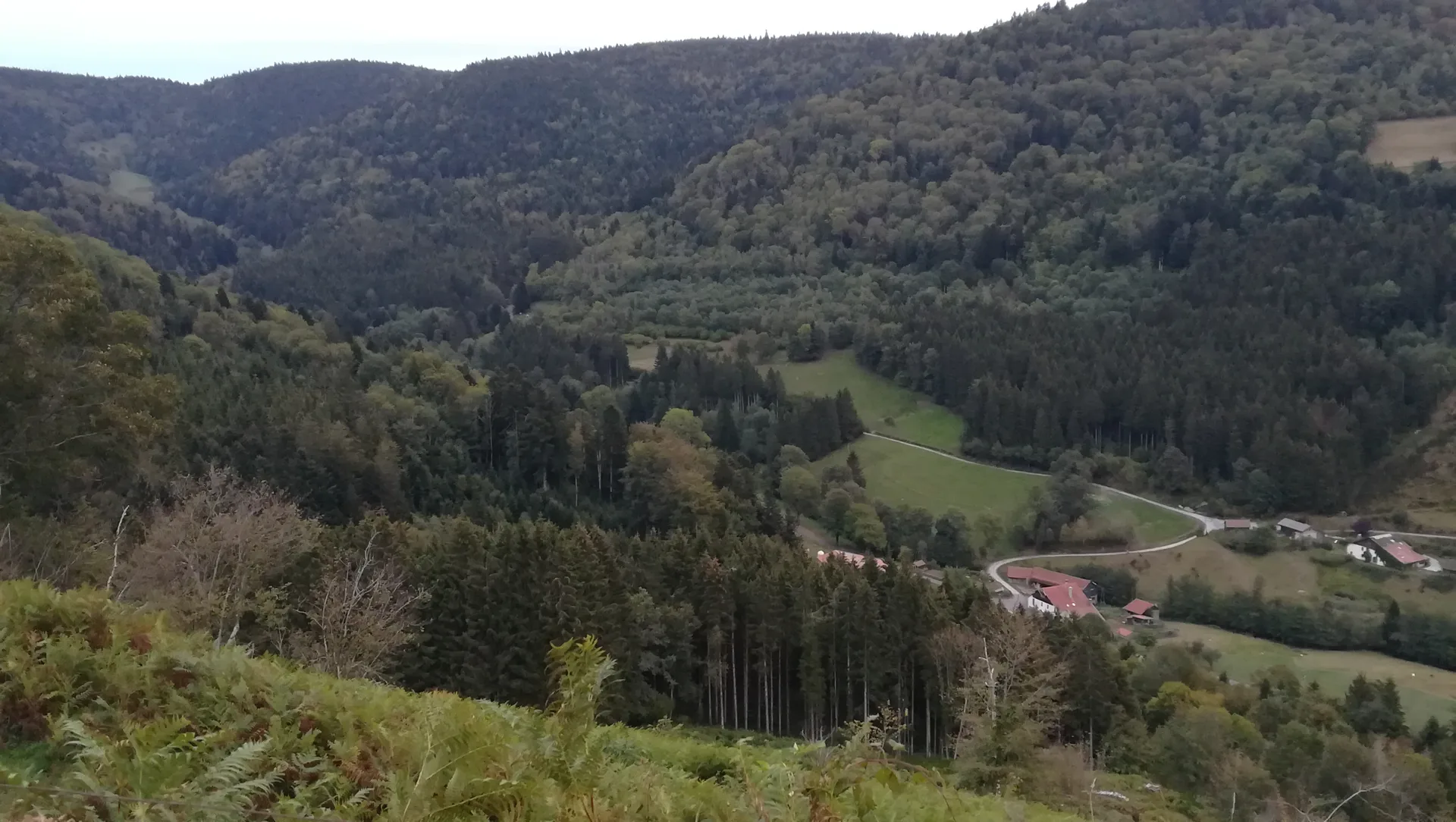 Lac de Saulxures sur-Moselotte à Saulxures-sur-Moselotte — À 4,9 km du lac