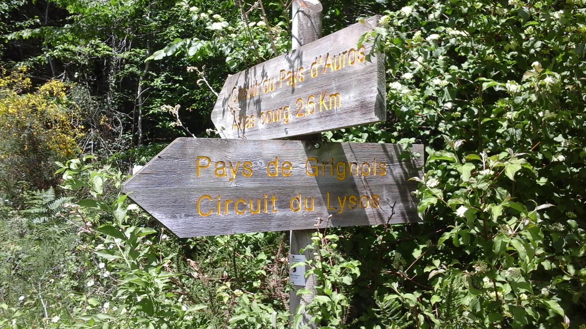 Lac de Sigalens à Sigalens — À 336 m du lac