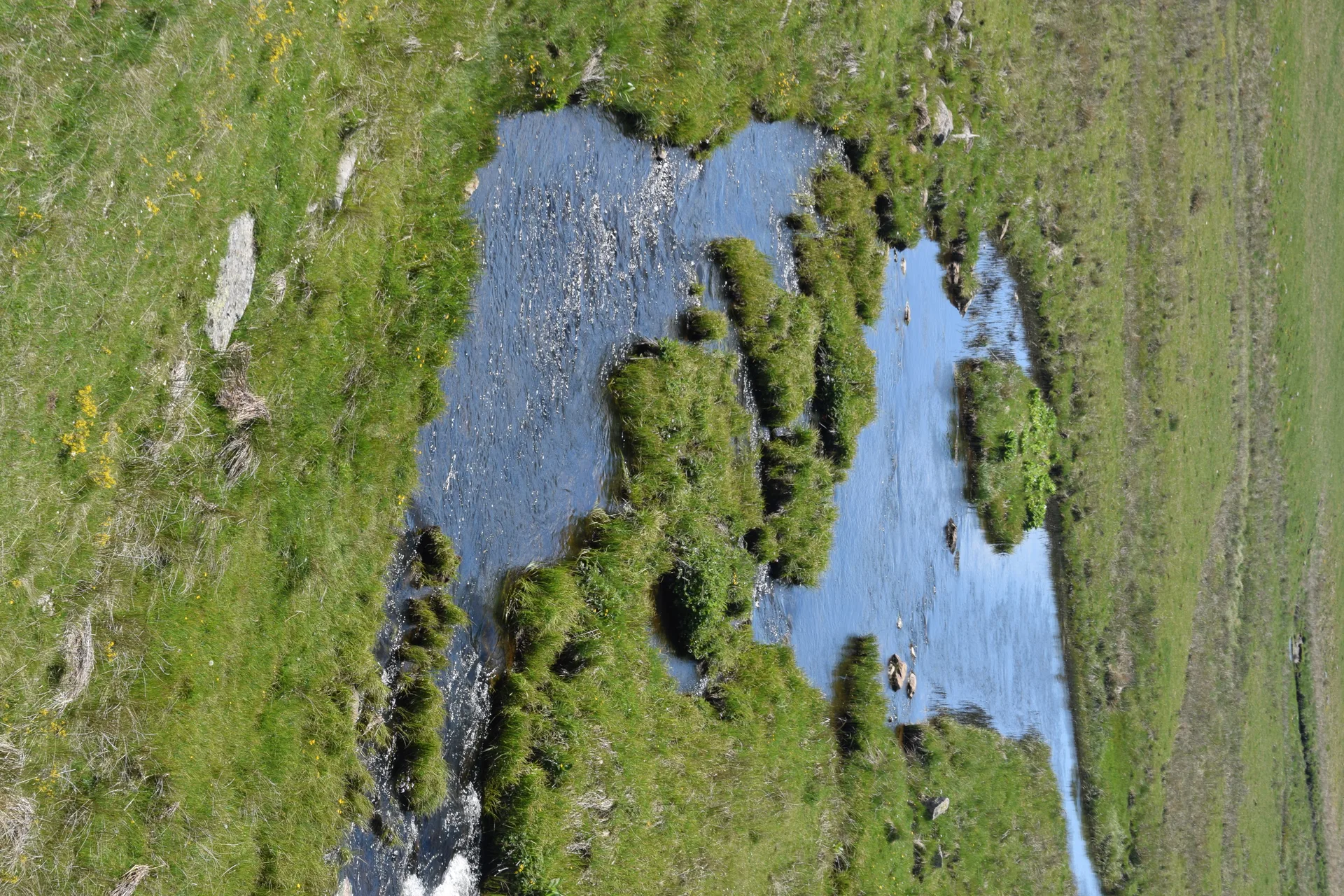 Lac de Souveyrols à Nasbinals — À 1,3 km du lac