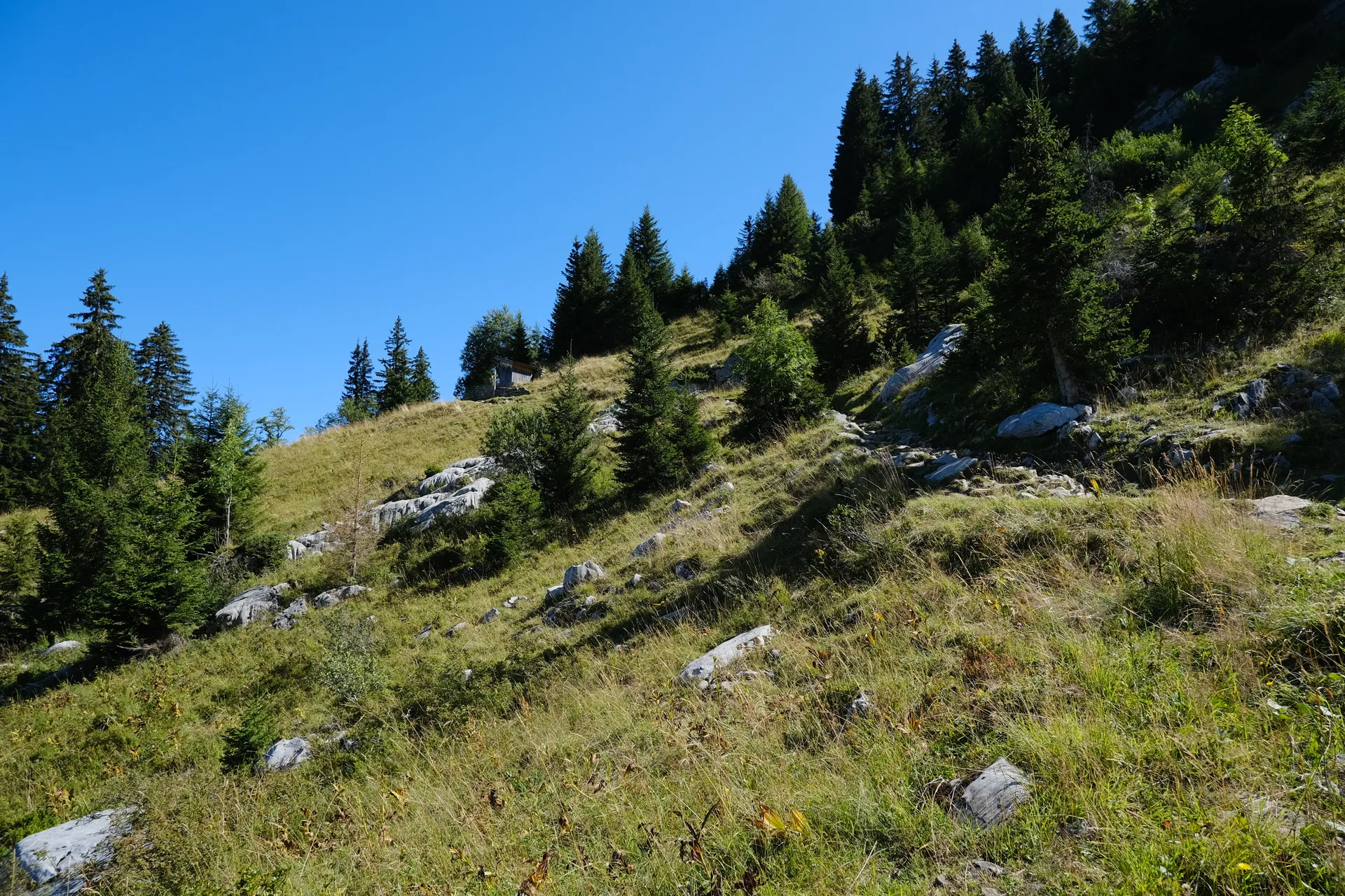 Lac de Tardevant à La Clusaz — À 1,0 km du lac
