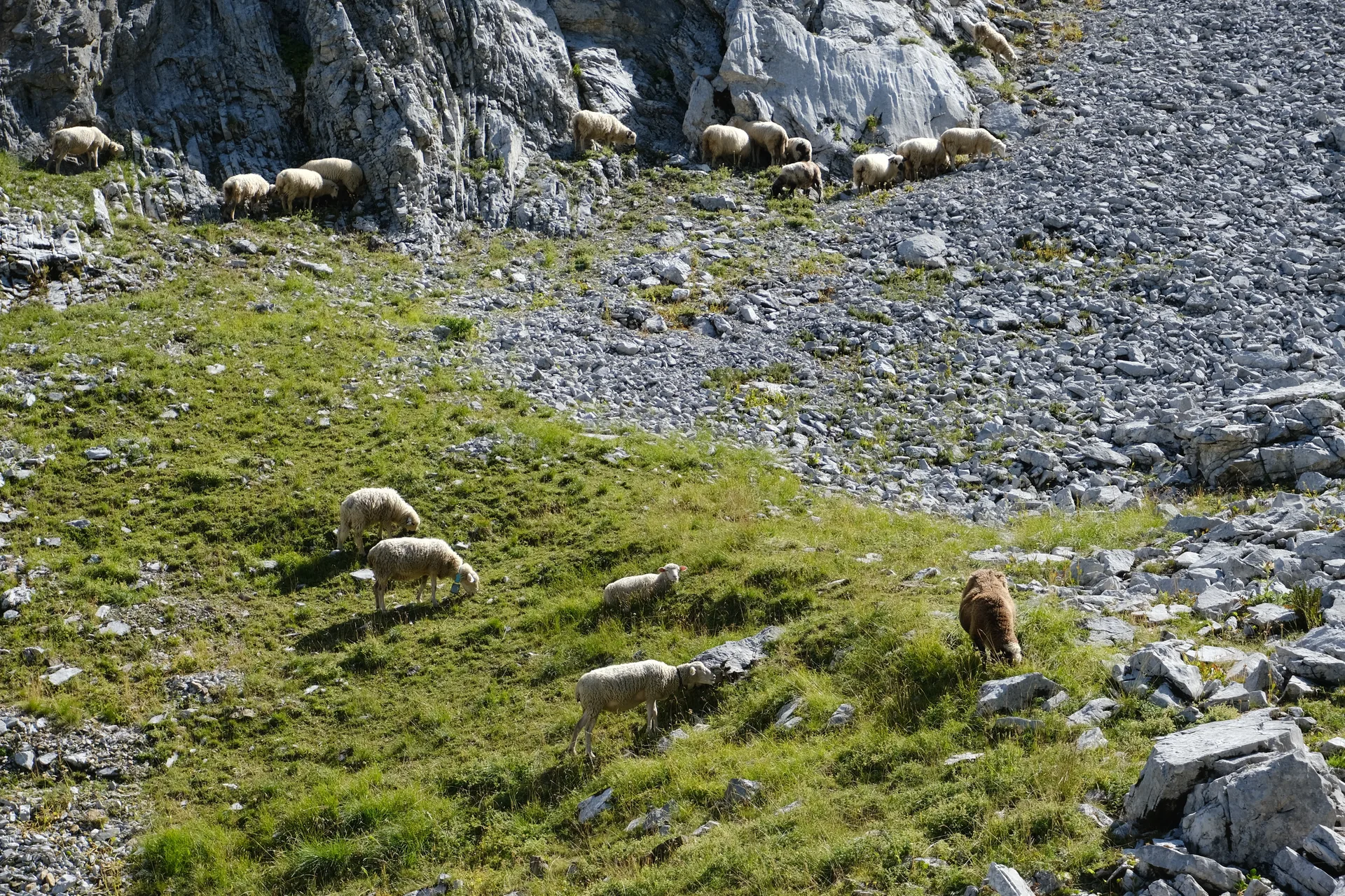 Lac de Tardevant à La Clusaz — À 1,2 km du lac
