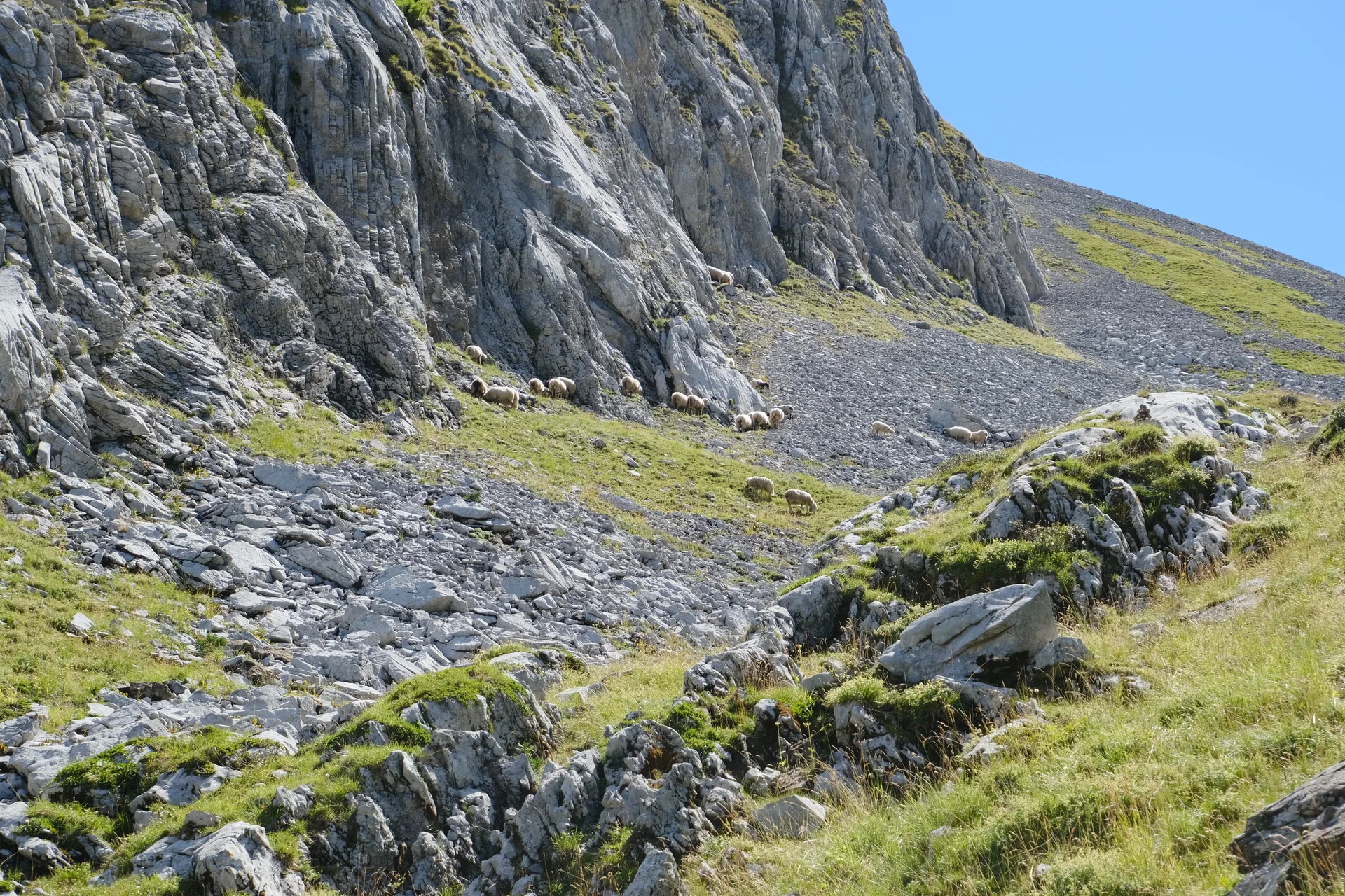 Lac de Tardevant à La Clusaz — À 1,2 km du lac
