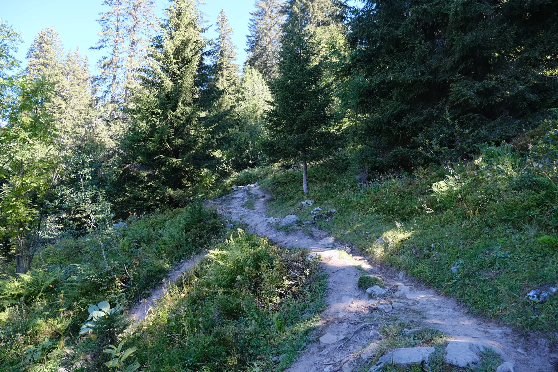 Lac de Tardevant à La Clusaz — À 1,2 km du lac