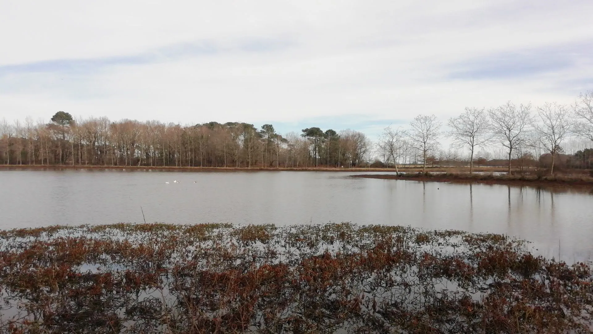 Lac de Tastoa à Estibeaux — À 222 m du lac