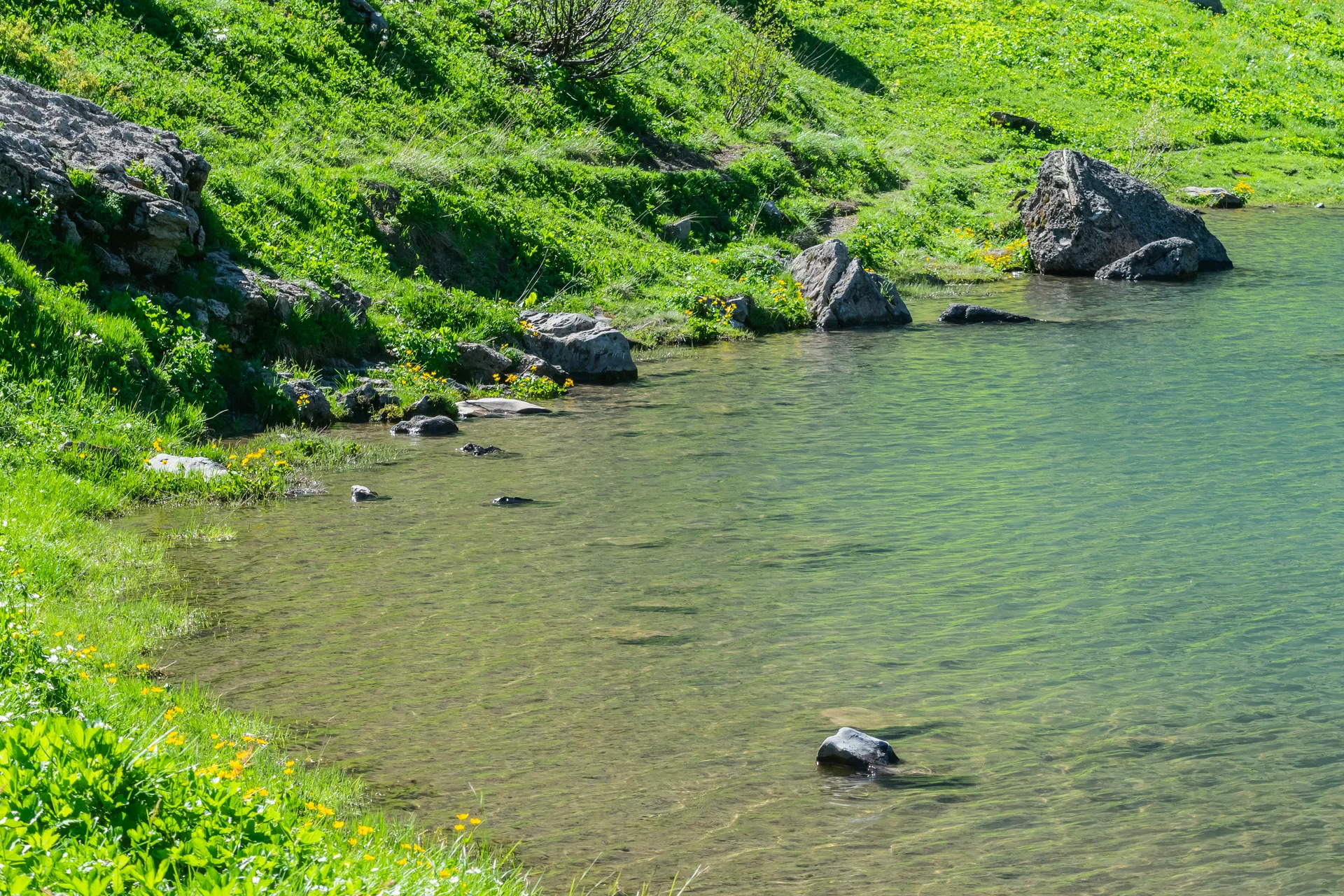 Lac de Tavaneuse à Abondance — Sur le lac