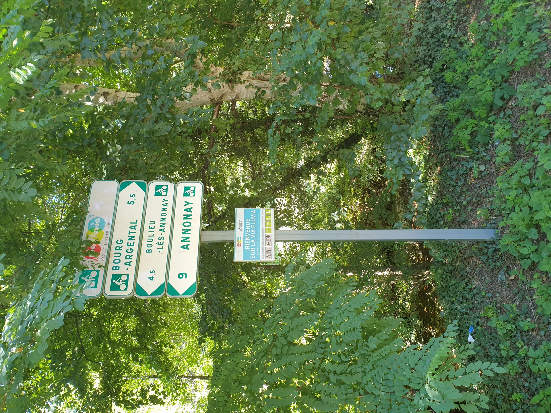 Lac de Ternay à Savas — À 1,8 km du lac