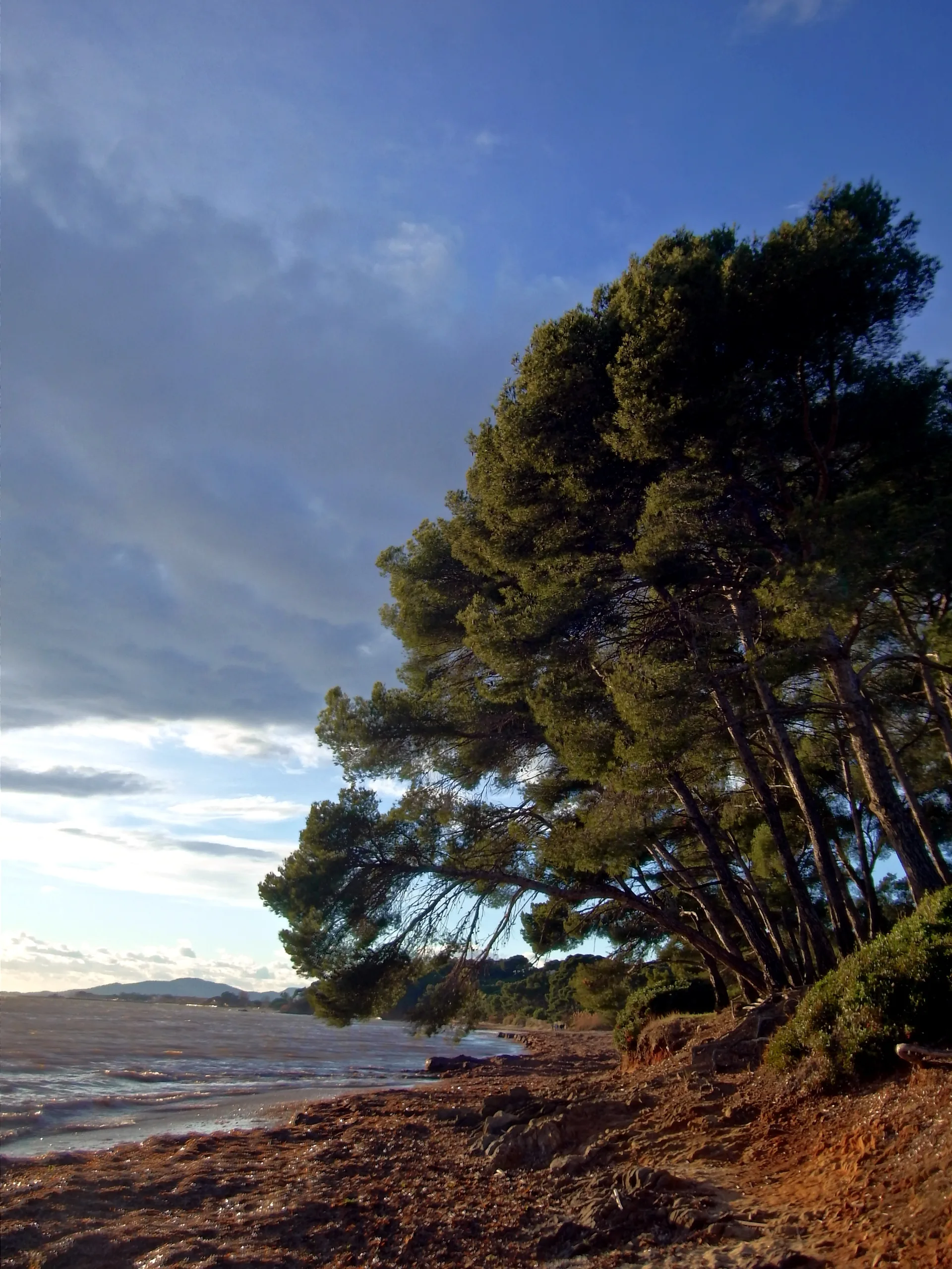 Lac de Trapan à Bormes-les-Mimosas — À 3,1 km du lac