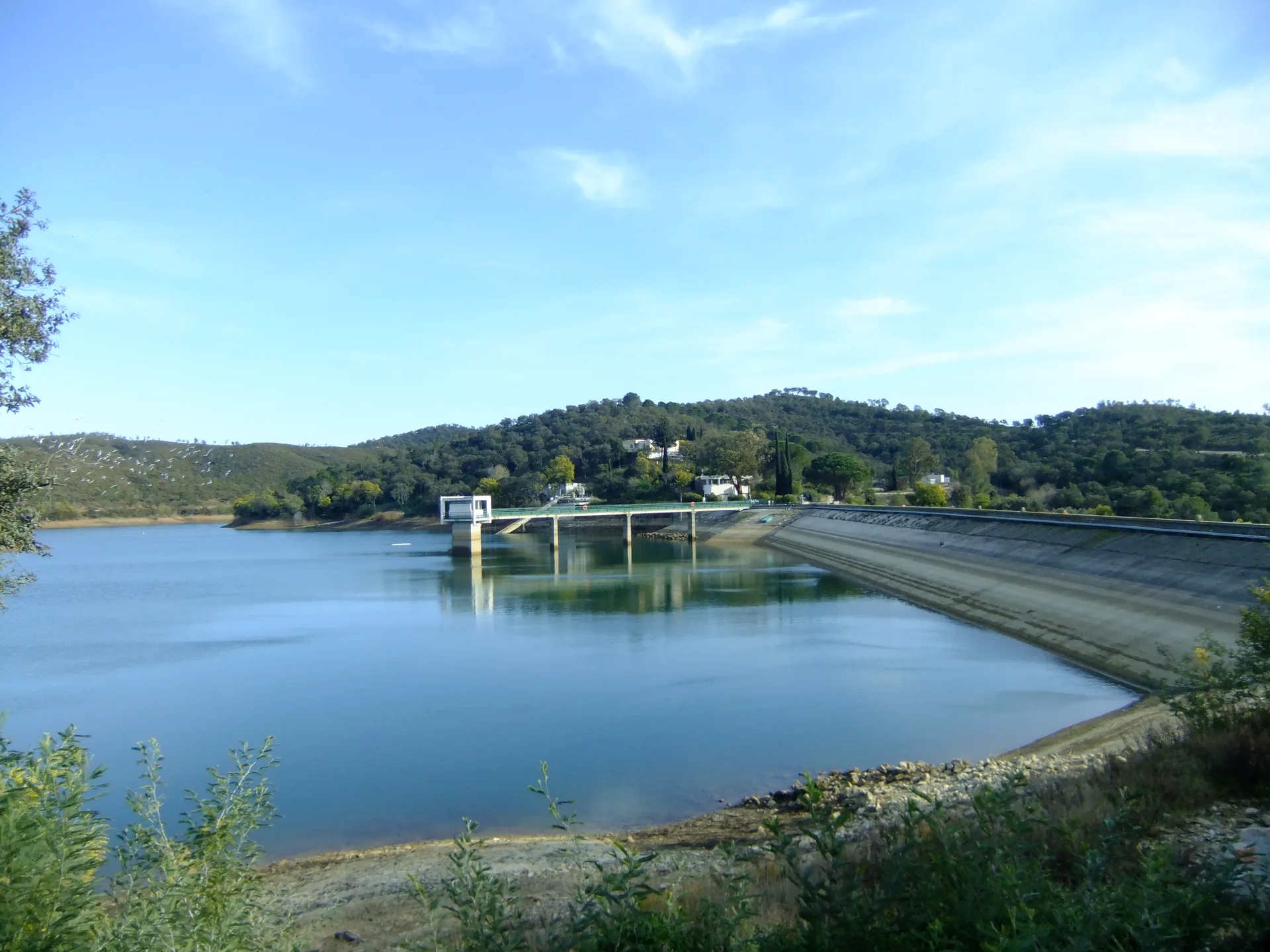 Lac de Trapan à Bormes-les-Mimosas — Sur le lac