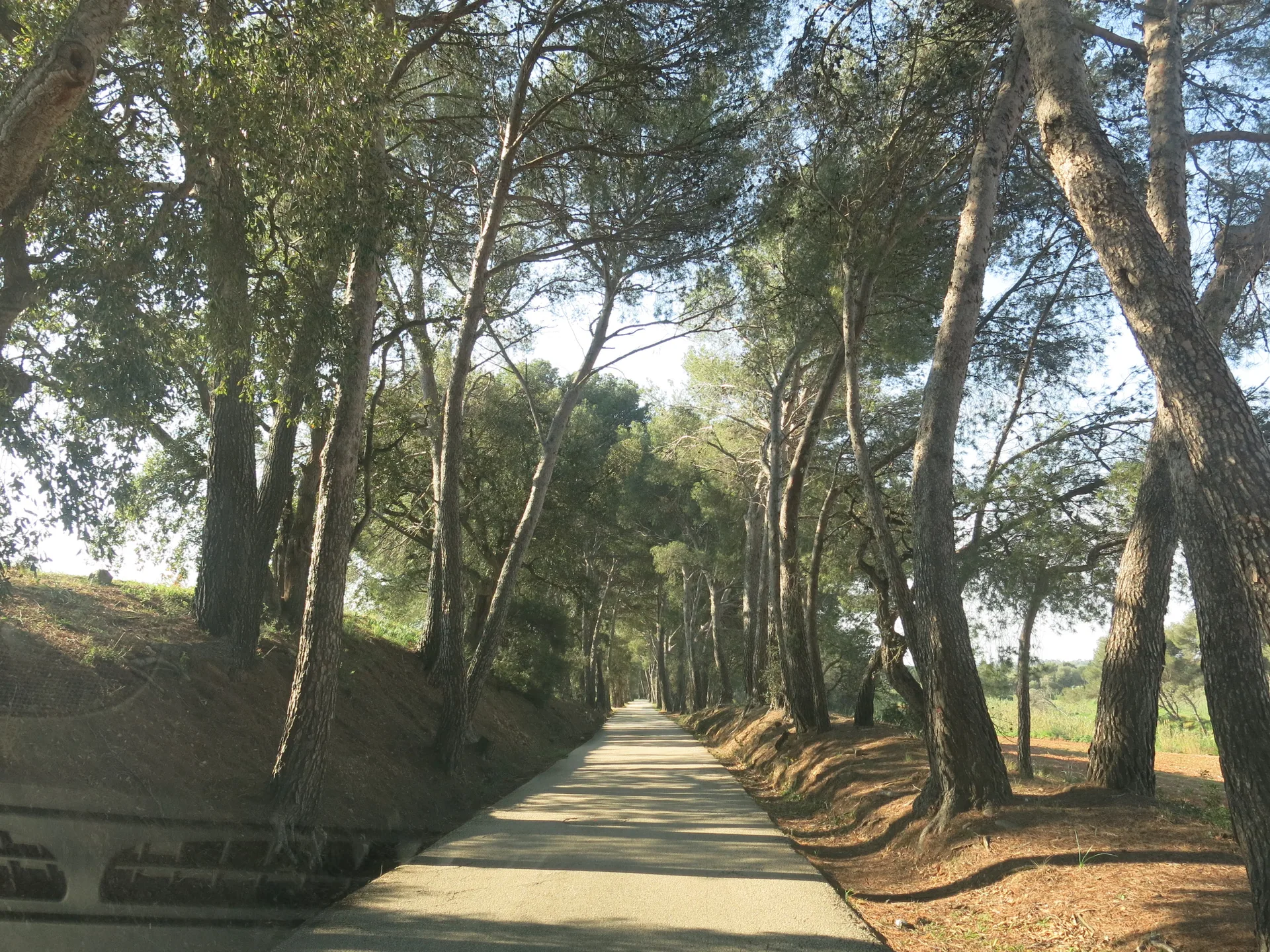 Lac de Trapan à Bormes-les-Mimosas — À 3,7 km du lac