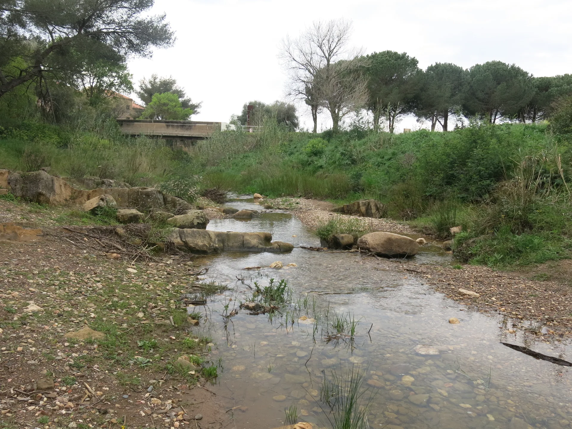 Lac de Trapan à Bormes-les-Mimosas — À 4,0 km du lac