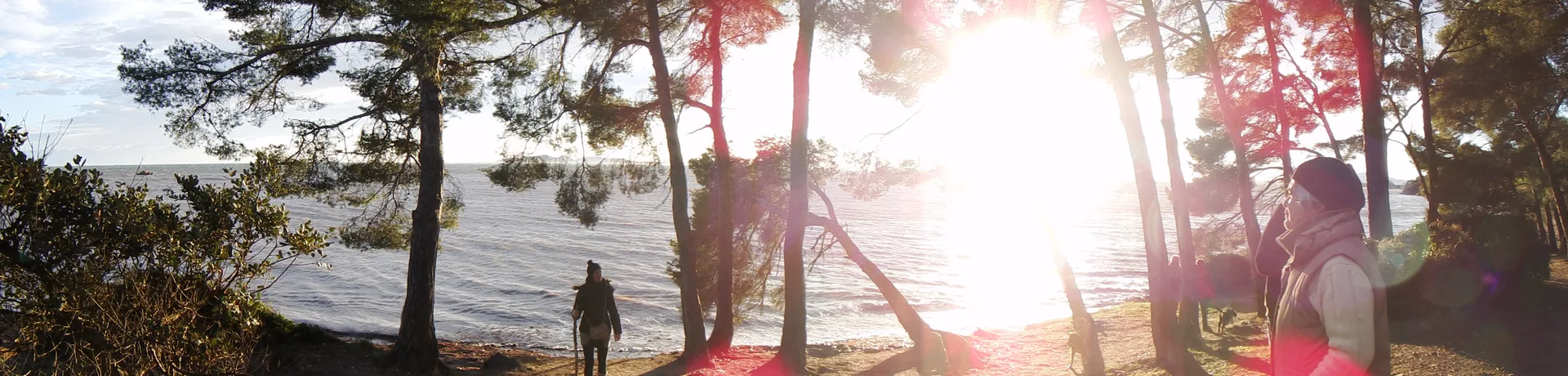 Lac de Trapan à Bormes-les-Mimosas — À 2,5 km du lac