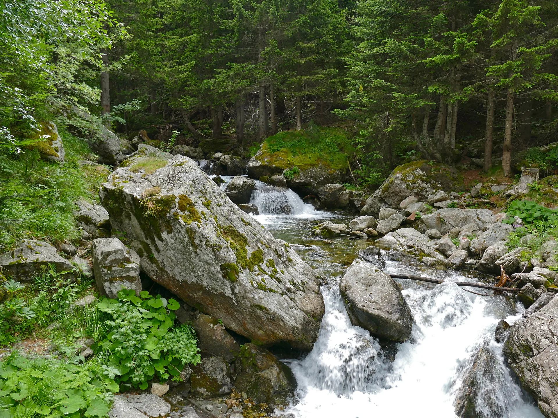 Lac de Trécolpas à Saint-Martin-Vésubie — À 2,2 km du lac