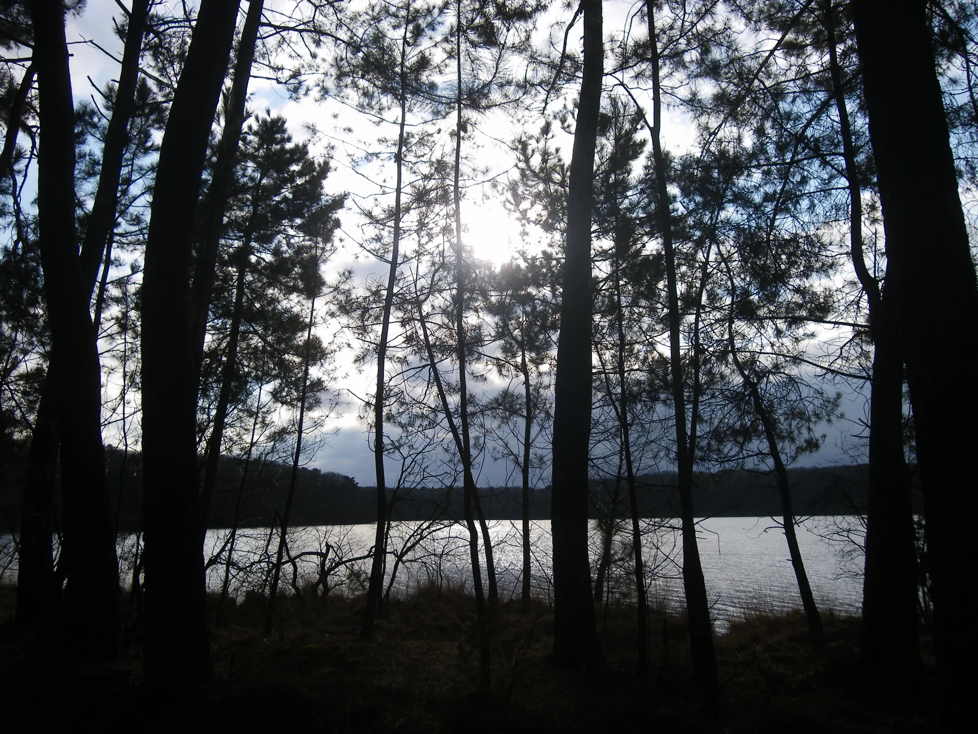 Lac de Tremelin à Iffendic — À 250 m du lac
