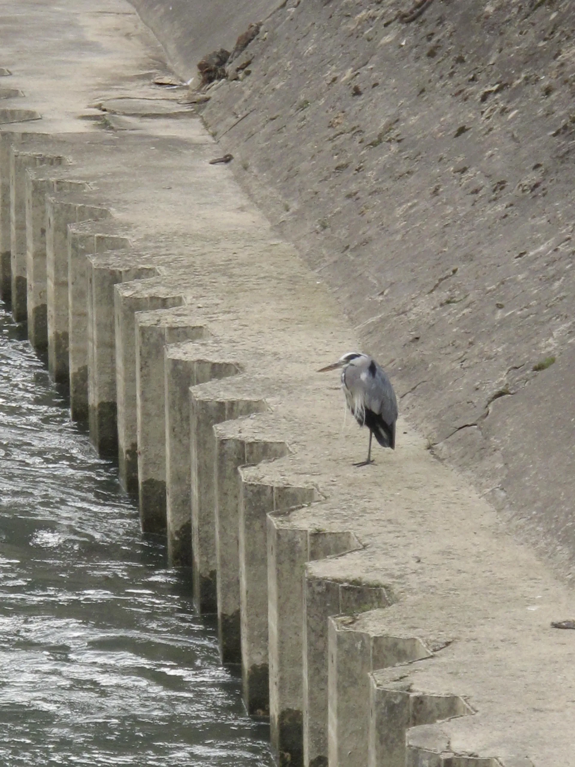Lac de Vaires à Vaires-sur-Marne — À 306 m du lac