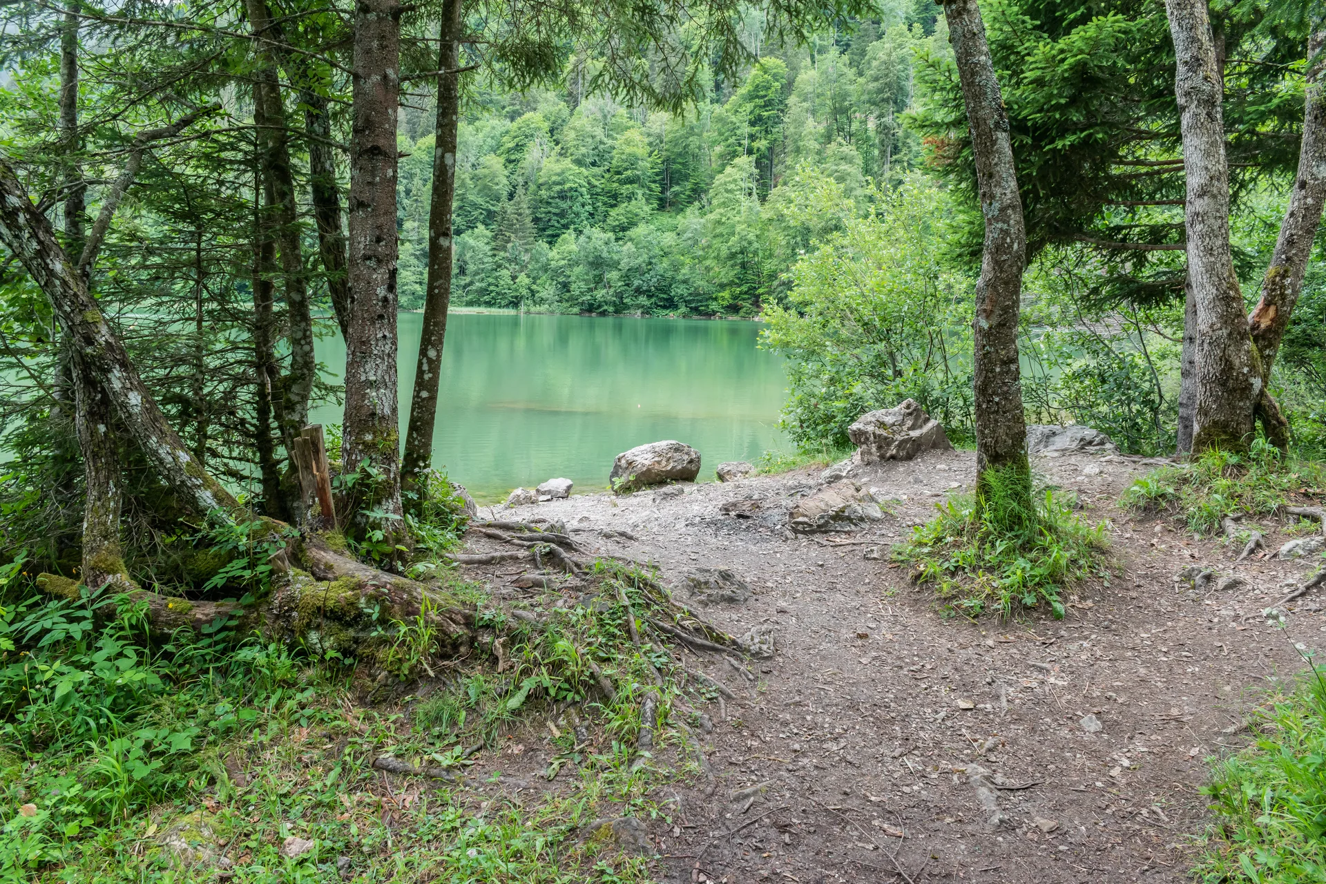 Lac de Vallon à Bellevaux — À 217 m du lac