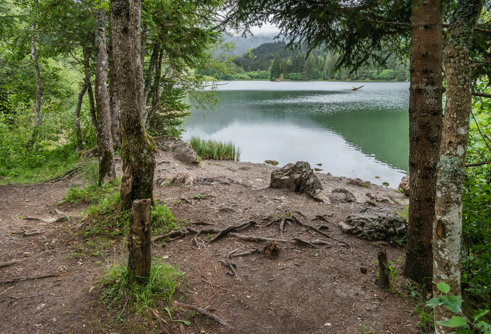 Lac de Vallon à Bellevaux — À 227 m du lac