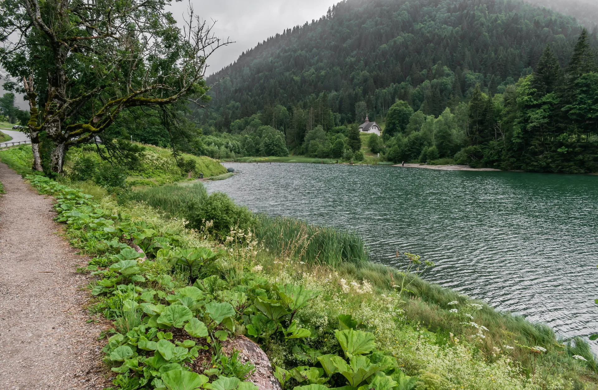 Lac de Vallon à Bellevaux — À 239 m du lac
