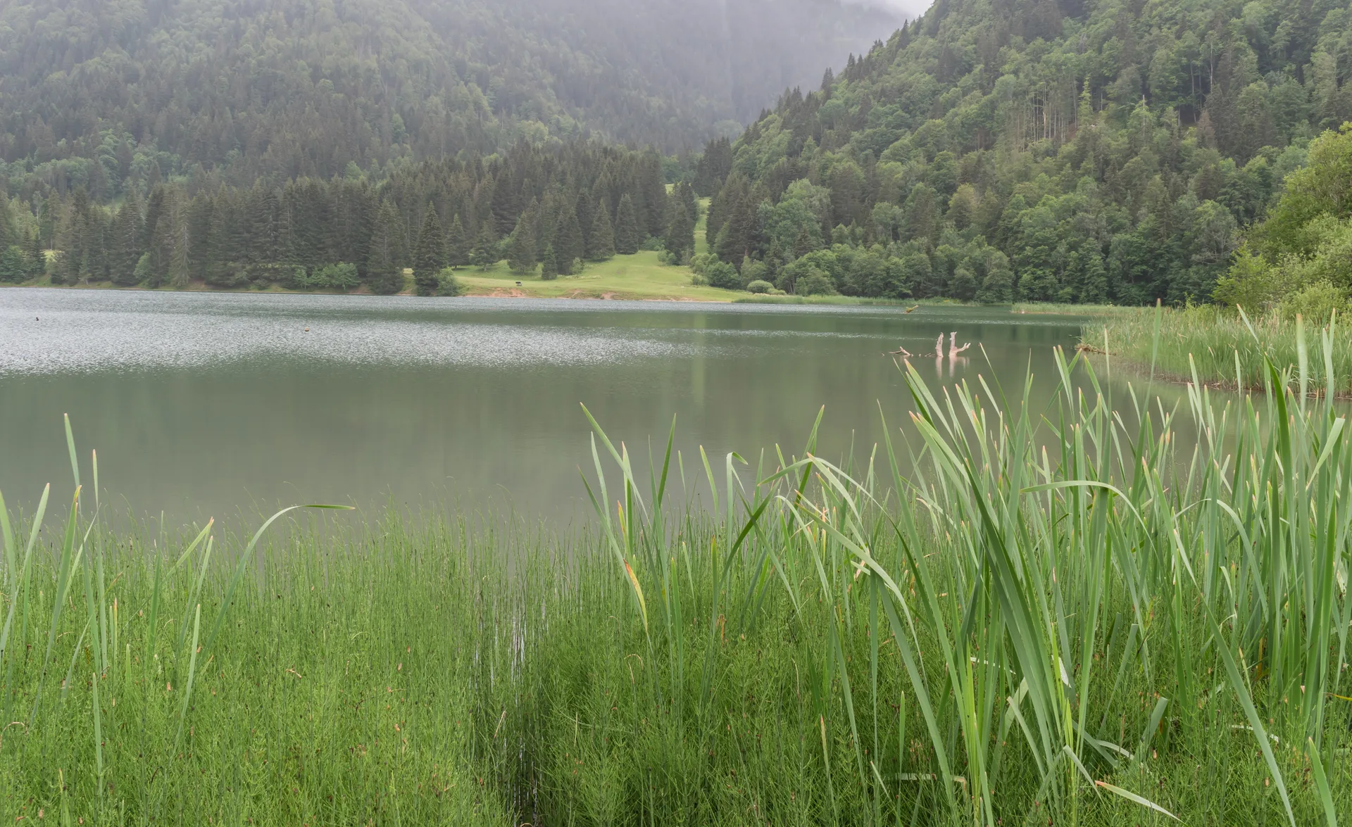 Lac de Vallon à Bellevaux — À 241 m du lac