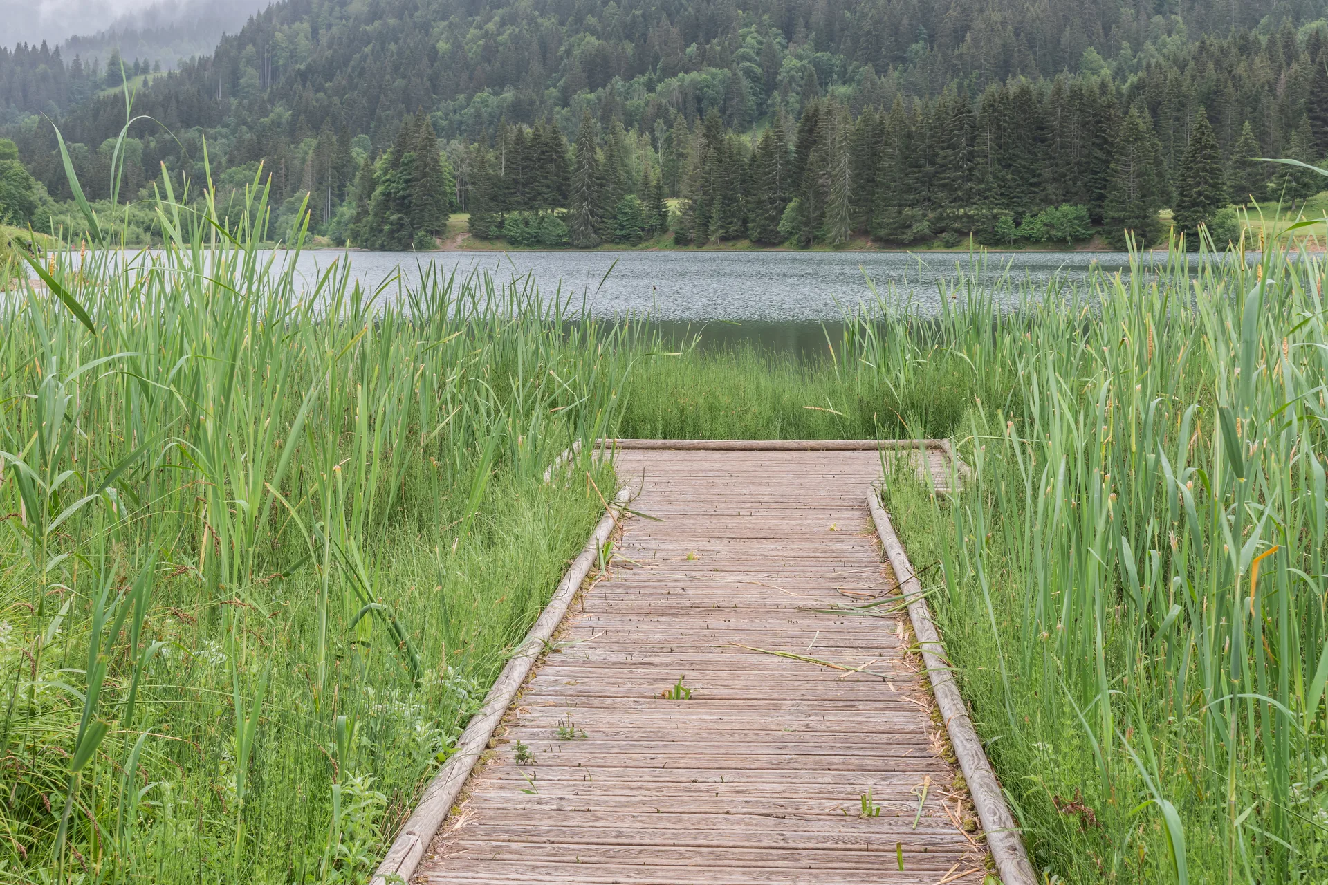 Lac de Vallon à Bellevaux — À 250 m du lac