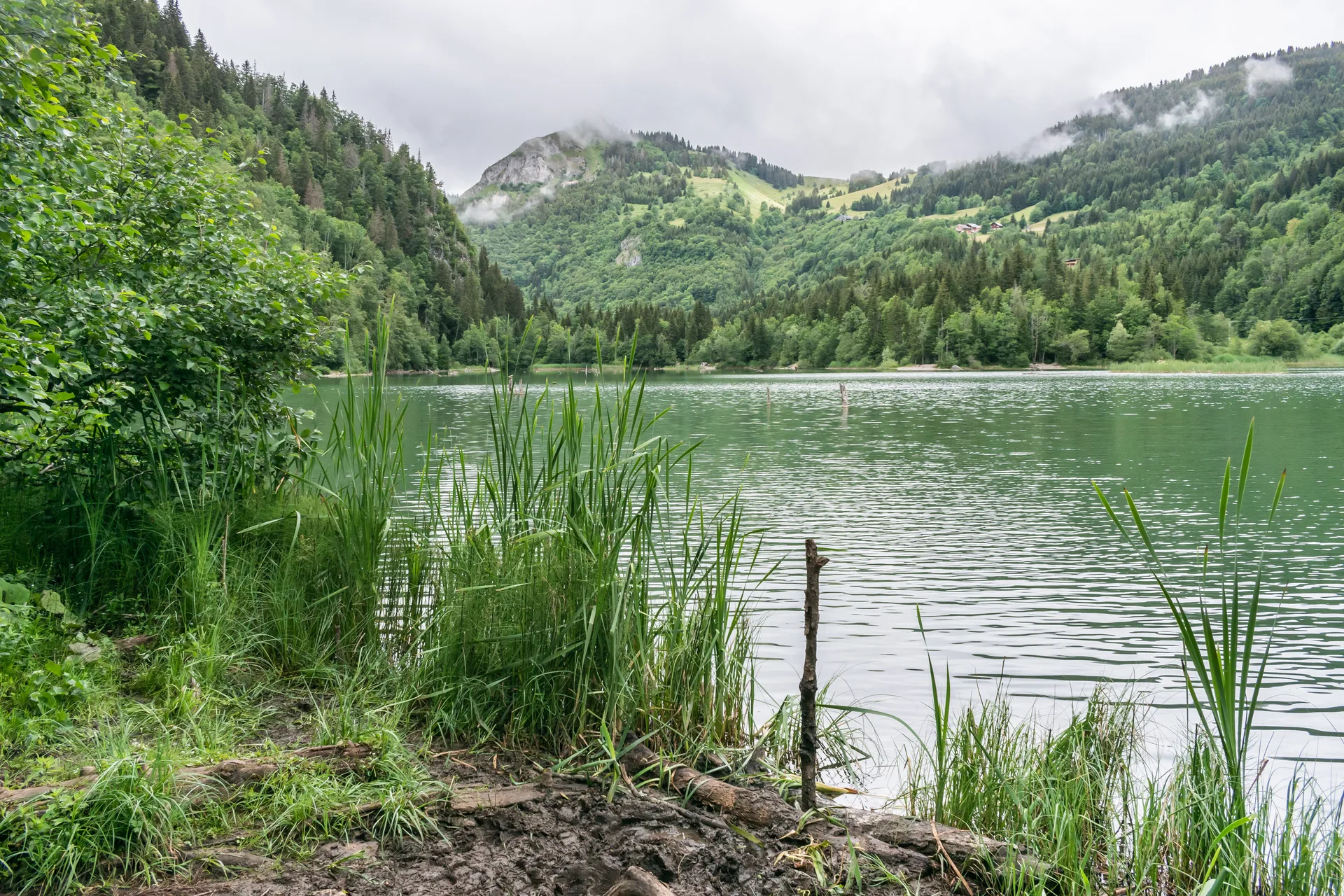 Lac de Vallon à Bellevaux — À 254 m du lac