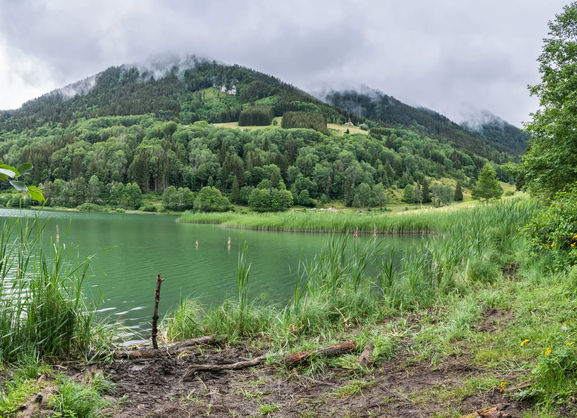 Lac de Vallon à Bellevaux — À 256 m du lac