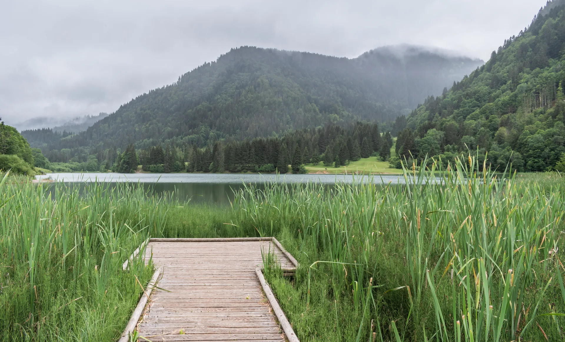 Lac de Vallon à Bellevaux — À 258 m du lac