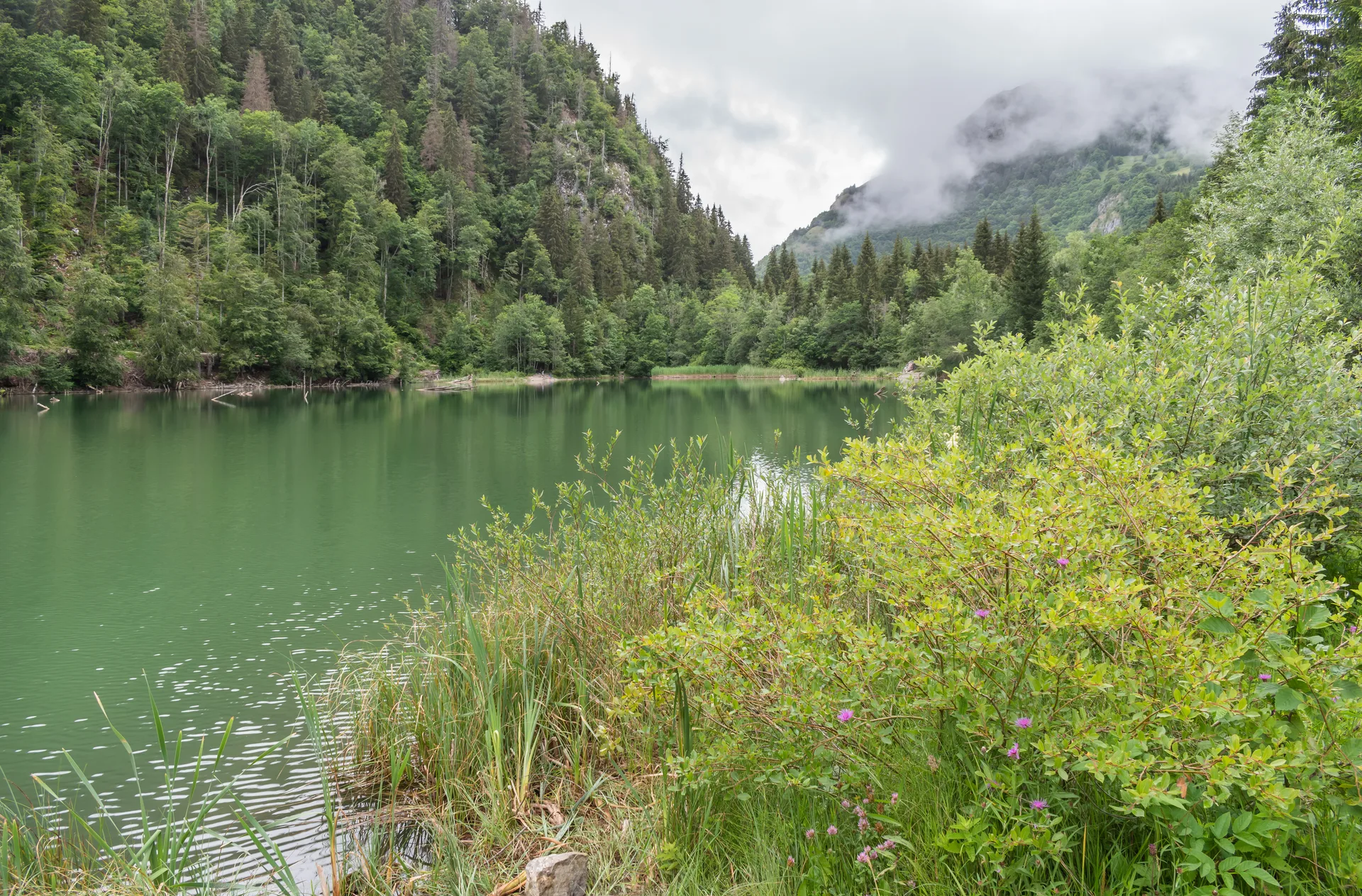 Lac de Vallon à Bellevaux — À 272 m du lac